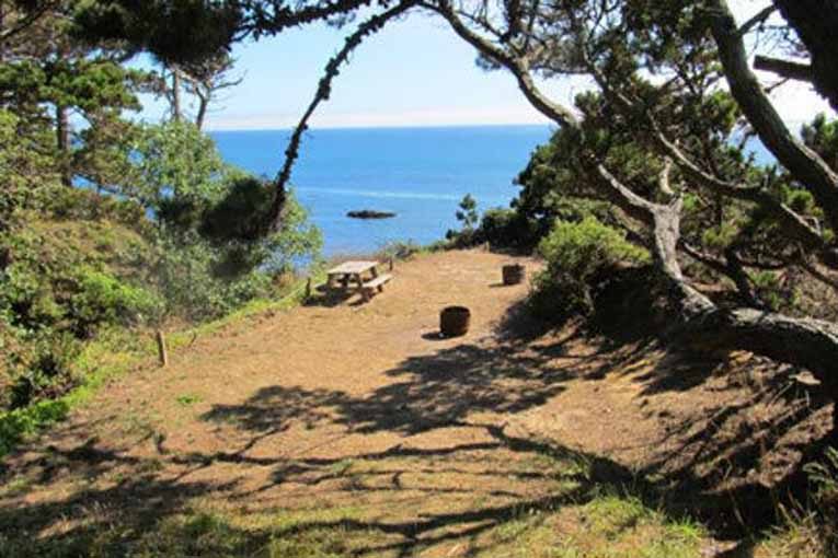 A picnic table sits quietly by the ocean, surrounded by trees and grass, with a clear view of the distant sea and sky.