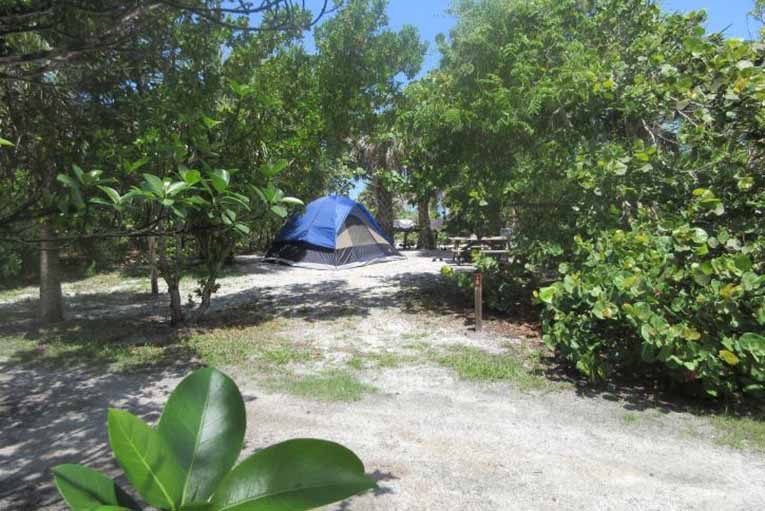 A blue tent stands on sandy ground, surrounded by lush green trees and foliage, with a picnic table nearby under a bright, sunny sky.
