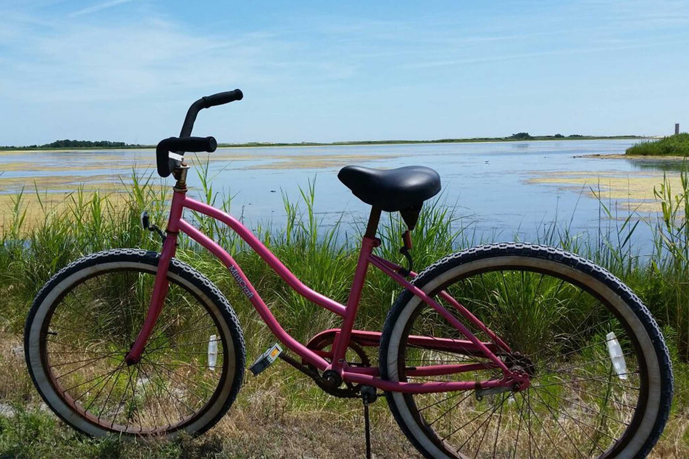 A pink bicycle stands beside a grassy lake, under a clear blue sky.