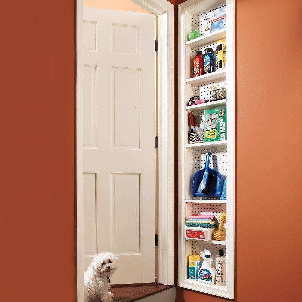 A small dog stands near an open closet door, with shelves stocked with cleaning supplies and pet items, set against orange walls.