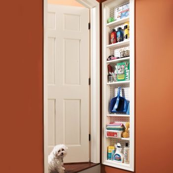 A small dog stands near an open closet door, with shelves stocked with cleaning supplies and pet items, set against orange walls.
