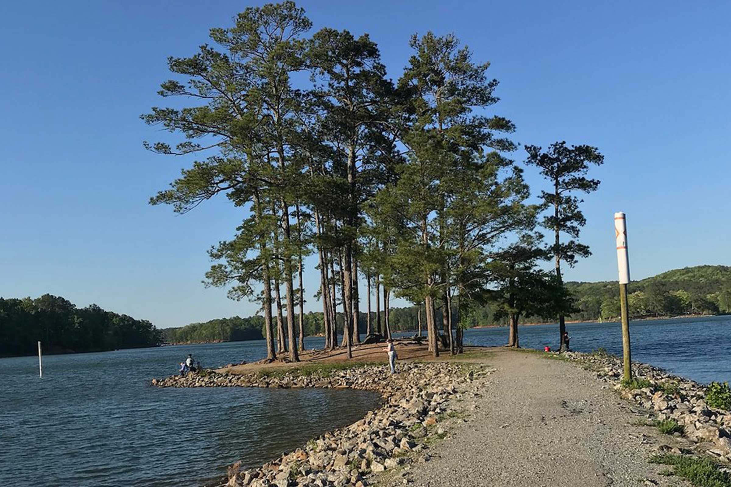 Trees stand on a small island, surrounded by a lake, with a rocky path leading out to them under a clear blue sky.