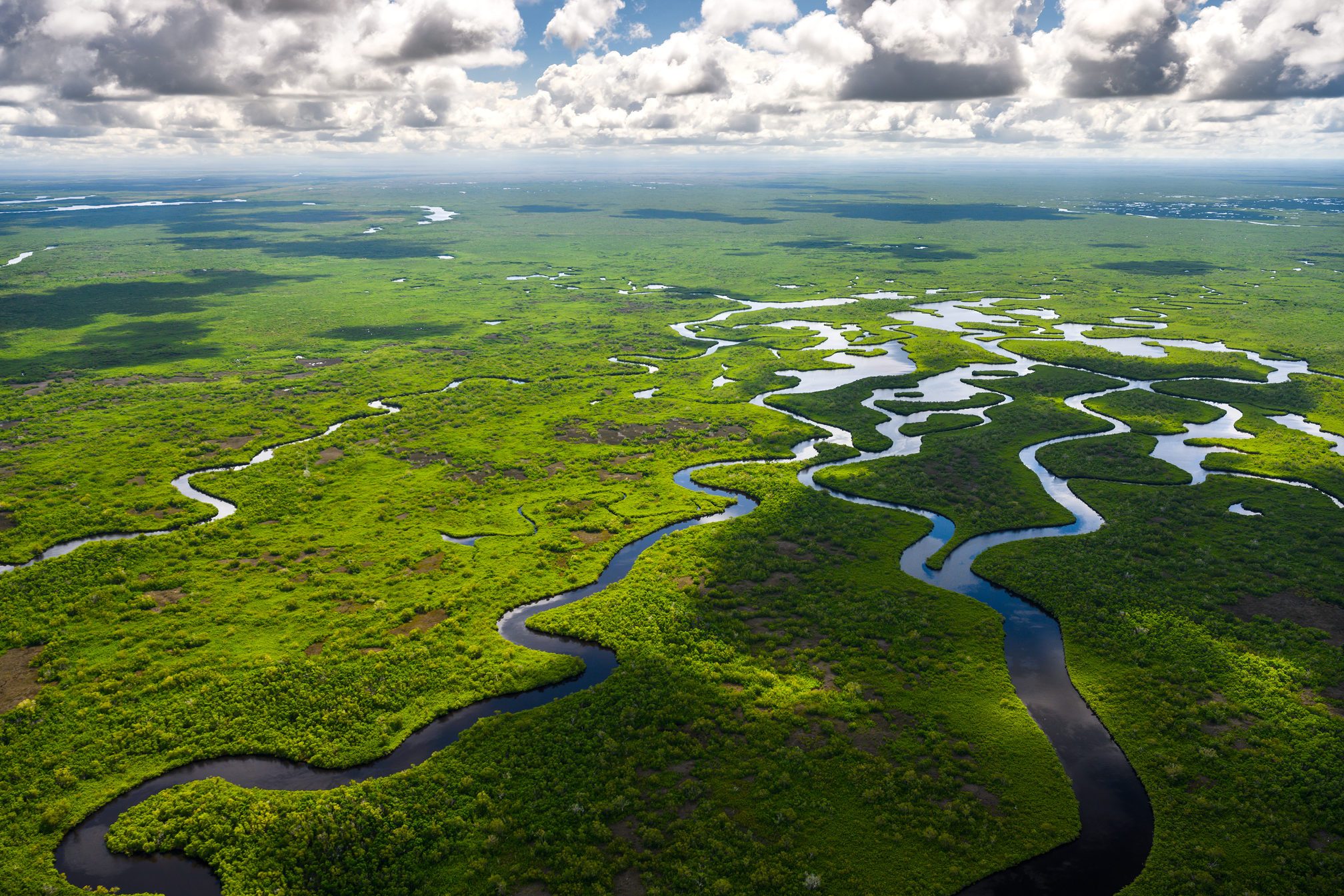Aerial view of Everglades National Park in Florida, USA