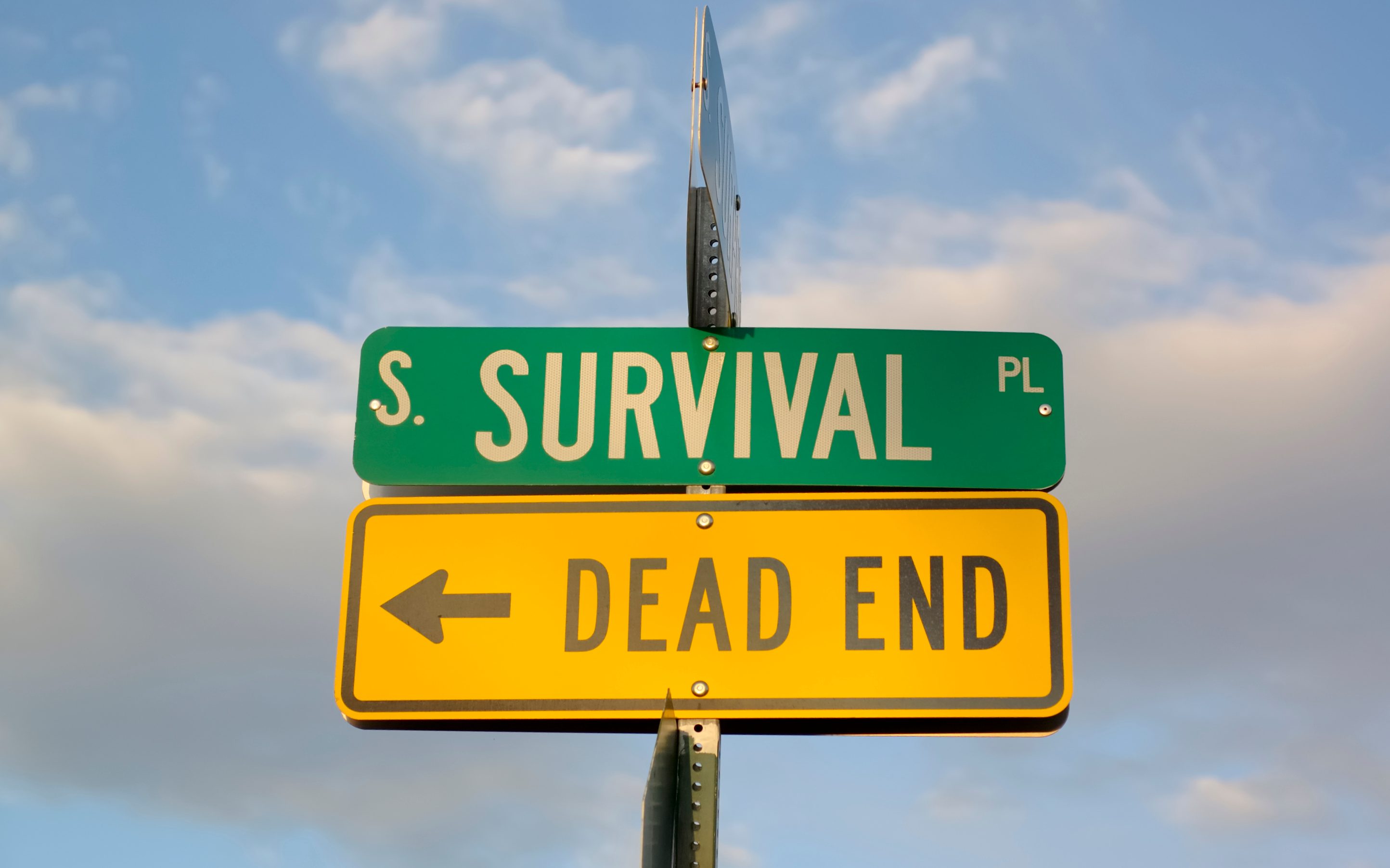 Street signs display "S. SURVIVAL PL" and "DEAD END" with an arrow, against a backdrop of a cloudy sky.