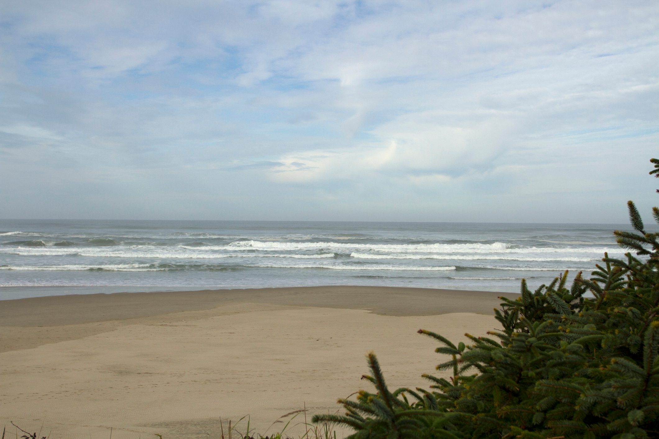 Waves crash on the sandy beach; the ocean stretches beyond, under a cloudy sky with shrubs in the foreground.