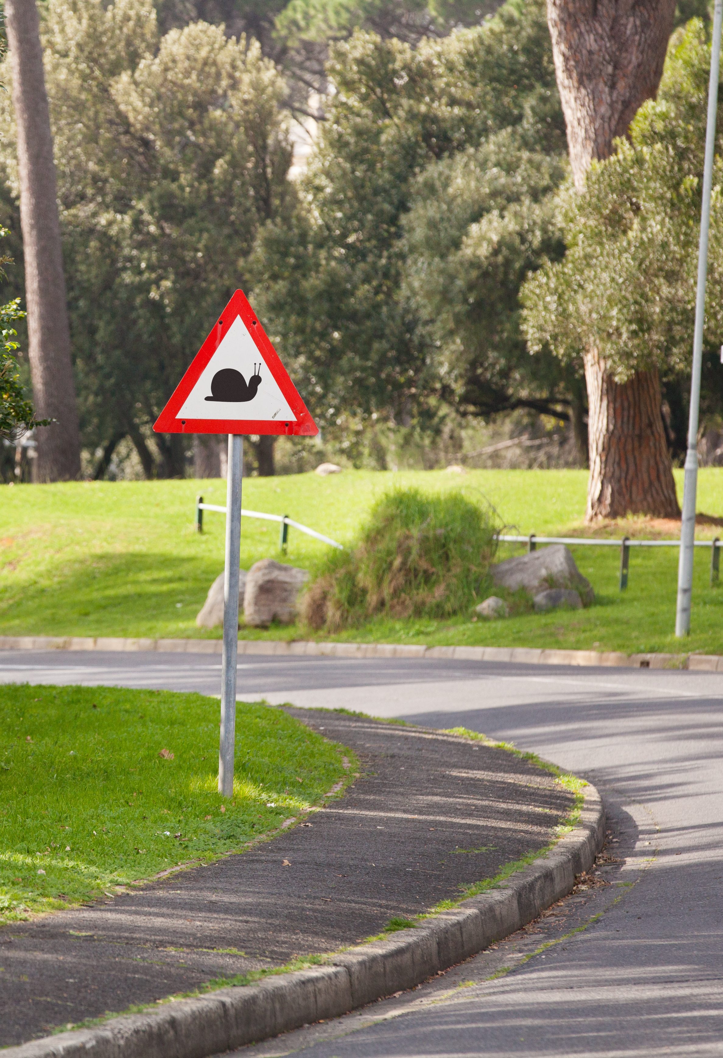 A triangular road sign warns of snails ahead, positioned beside a curved road in a lush park with green grass and trees.