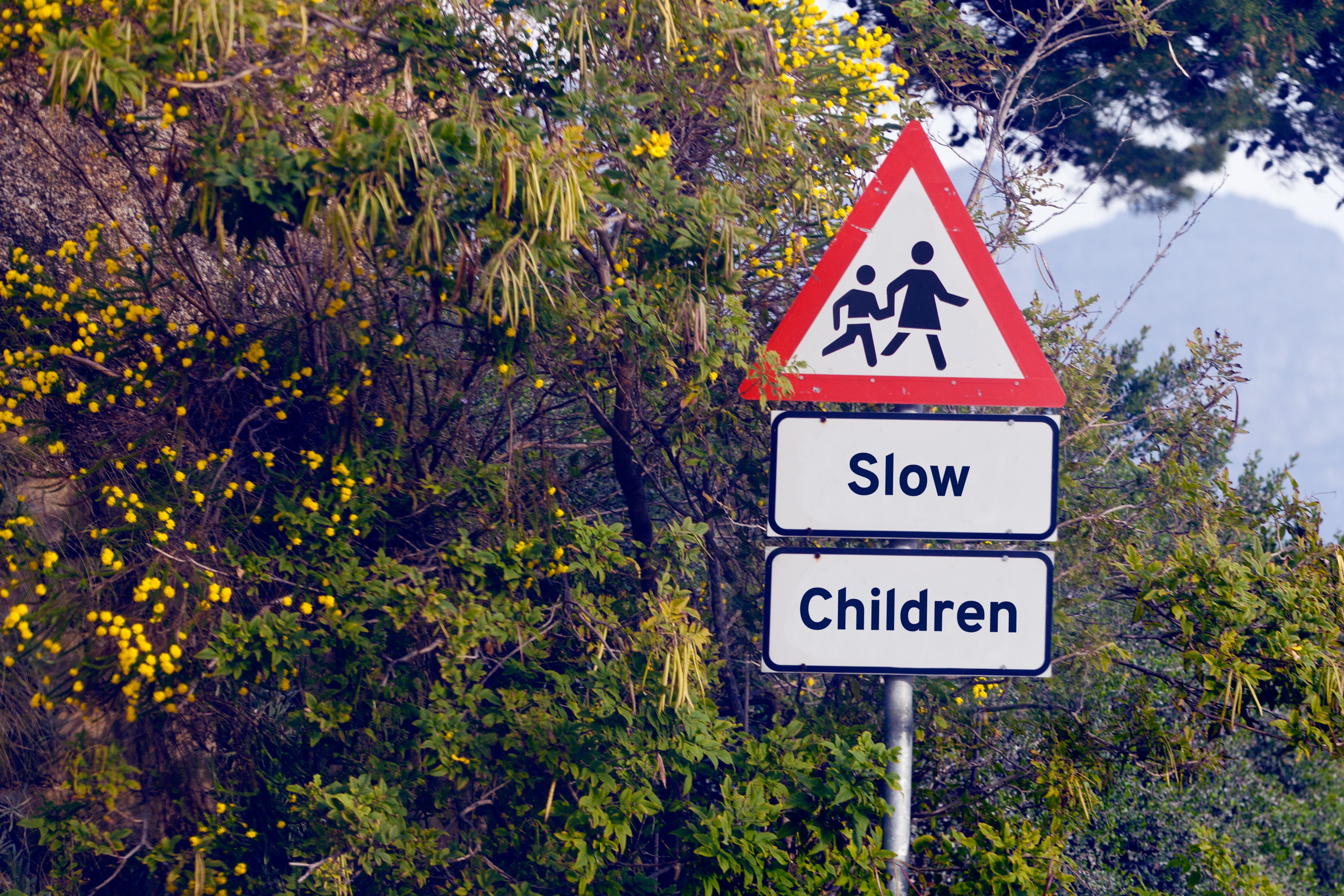 Traffic sign shows "Slow Children" with walking figures, situated along a lush, green roadside with yellow flowers.