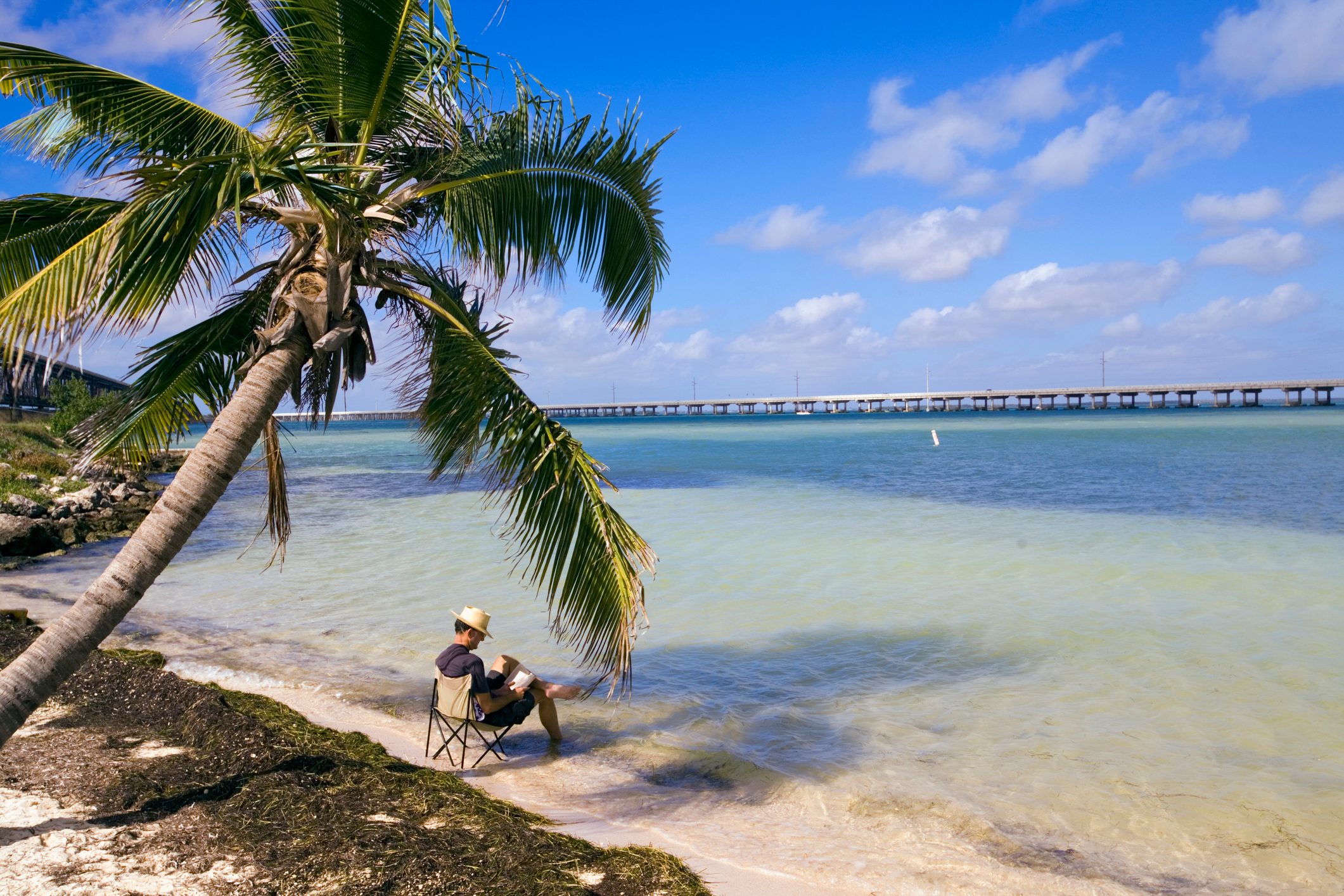 Person relaxes on a beach chair, reading under a palm tree beside turquoise water, with a long bridge in the background.