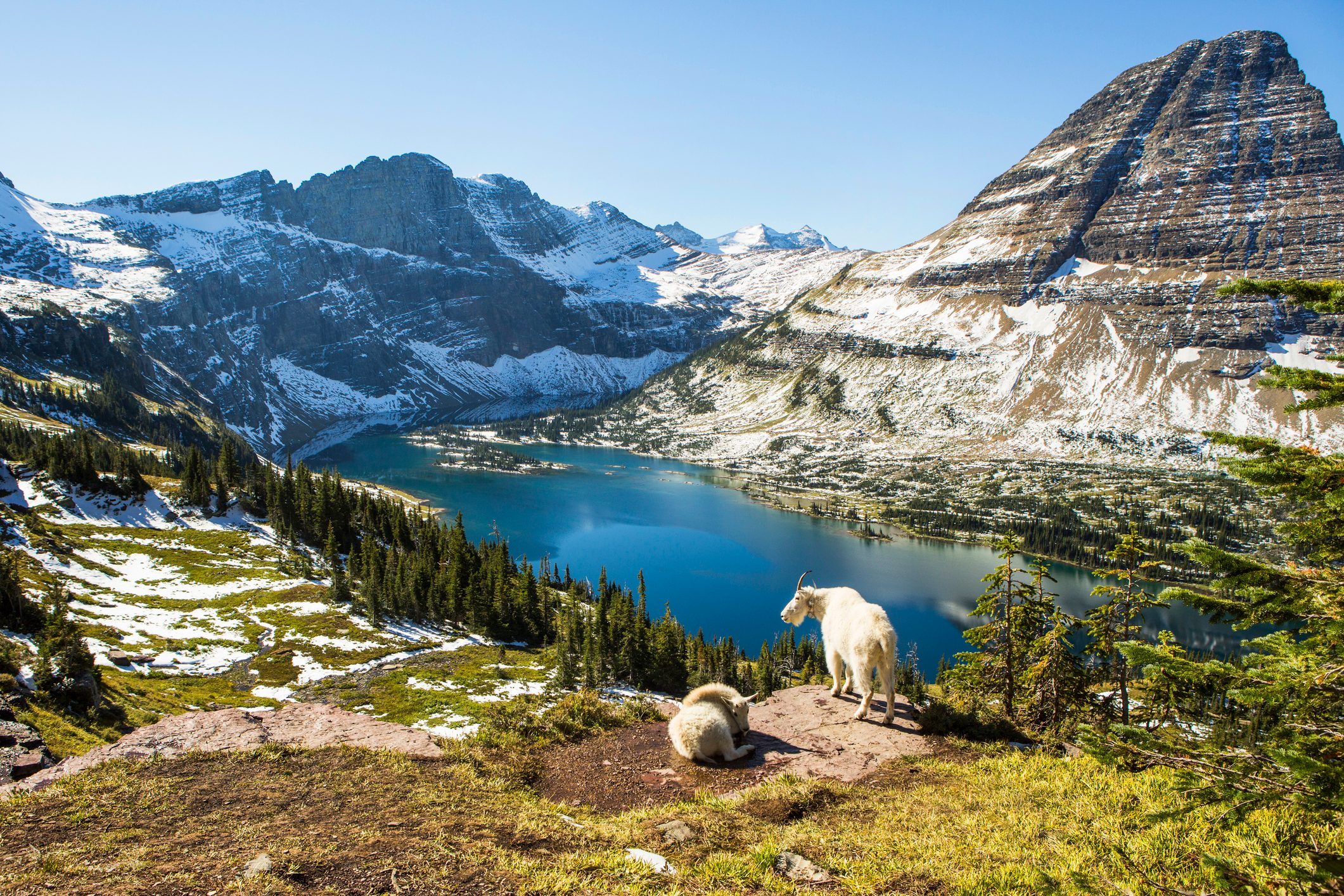 Scenic view of Glacier National Park.