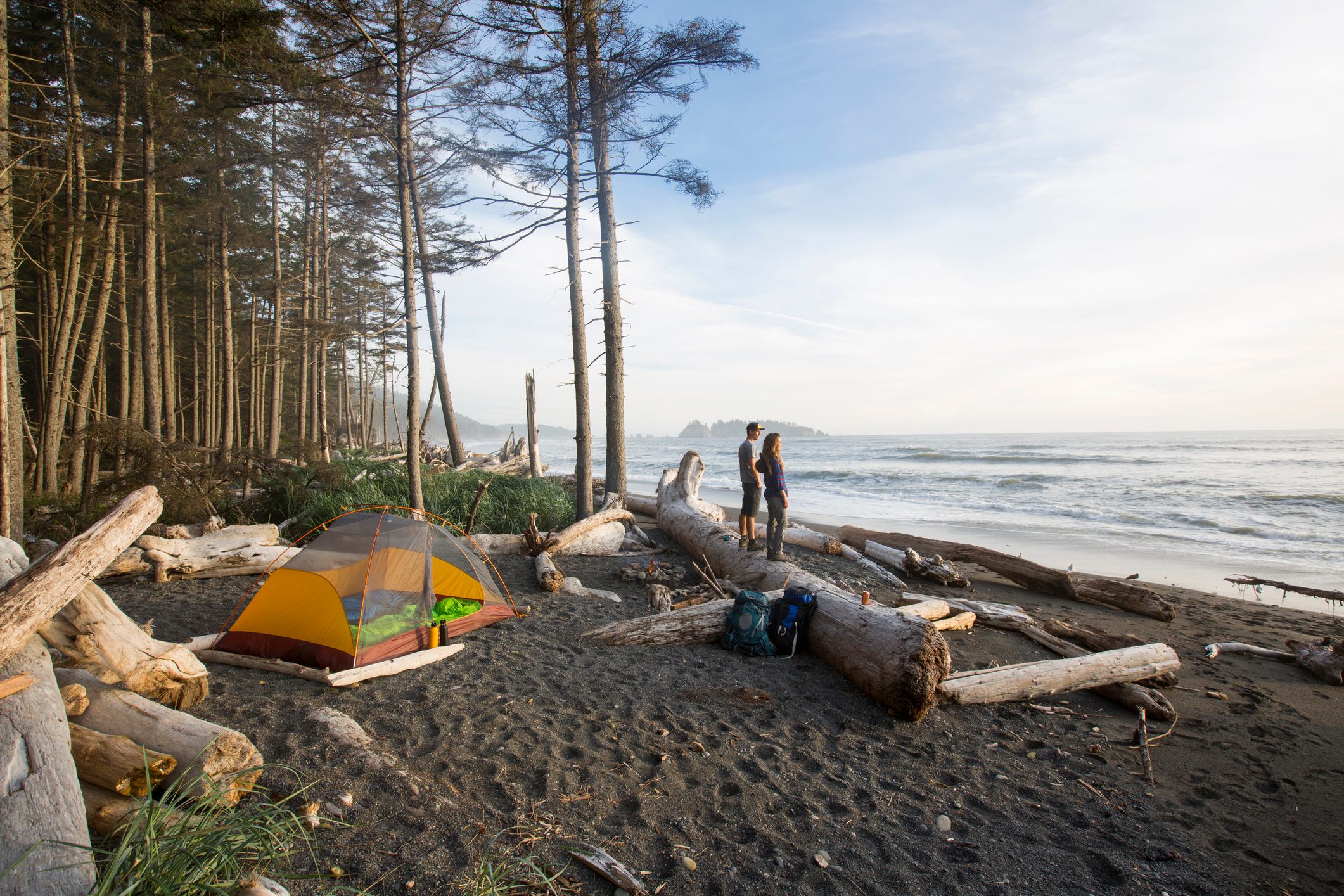 Tent set up on a sandy beach, surrounded by driftwood and trees, with a couple standing, facing the ocean waves.