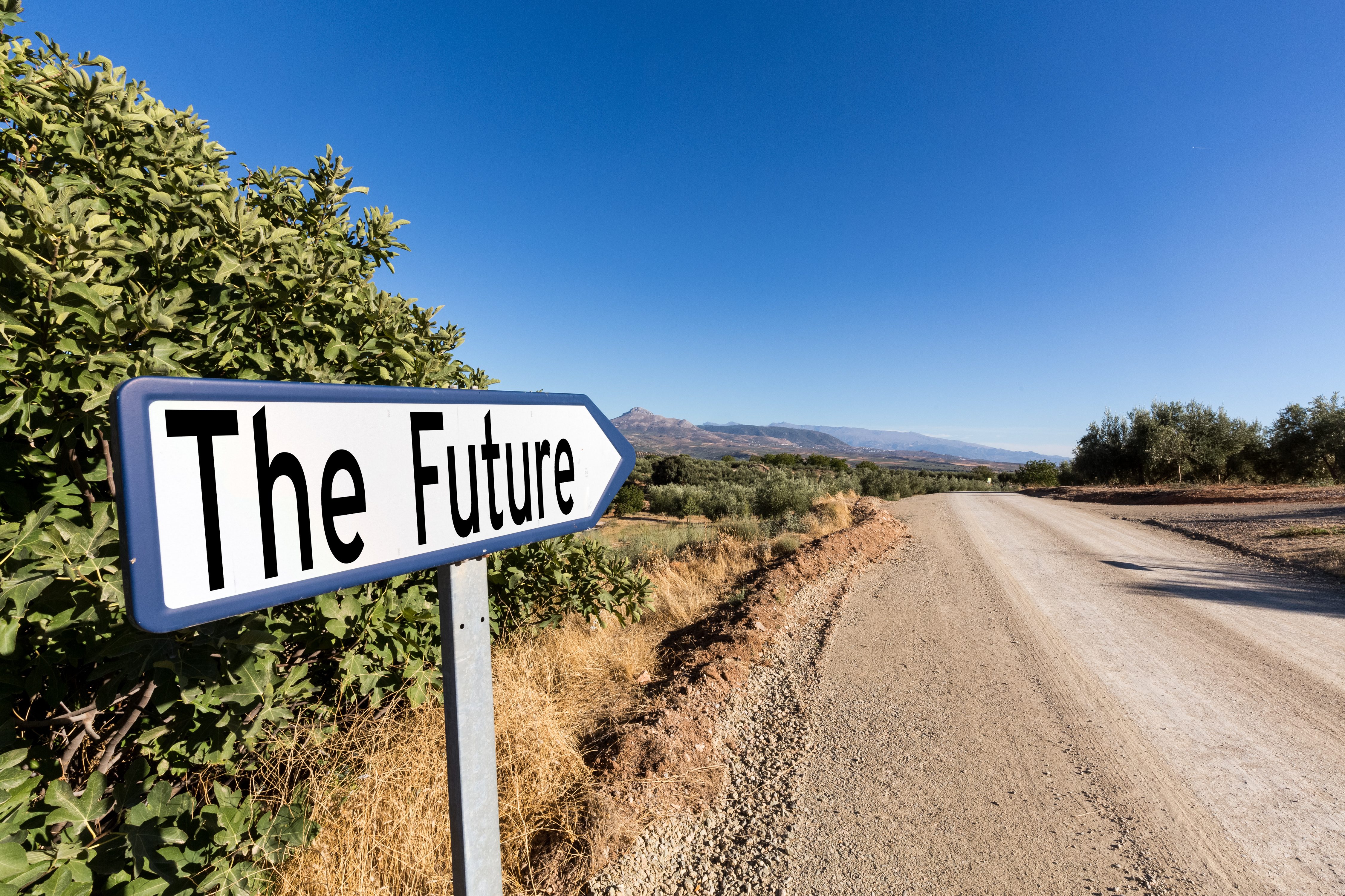 Sign reads "The Future," pointing toward a dirt road surrounded by foliage, beneath a wide, clear blue sky.