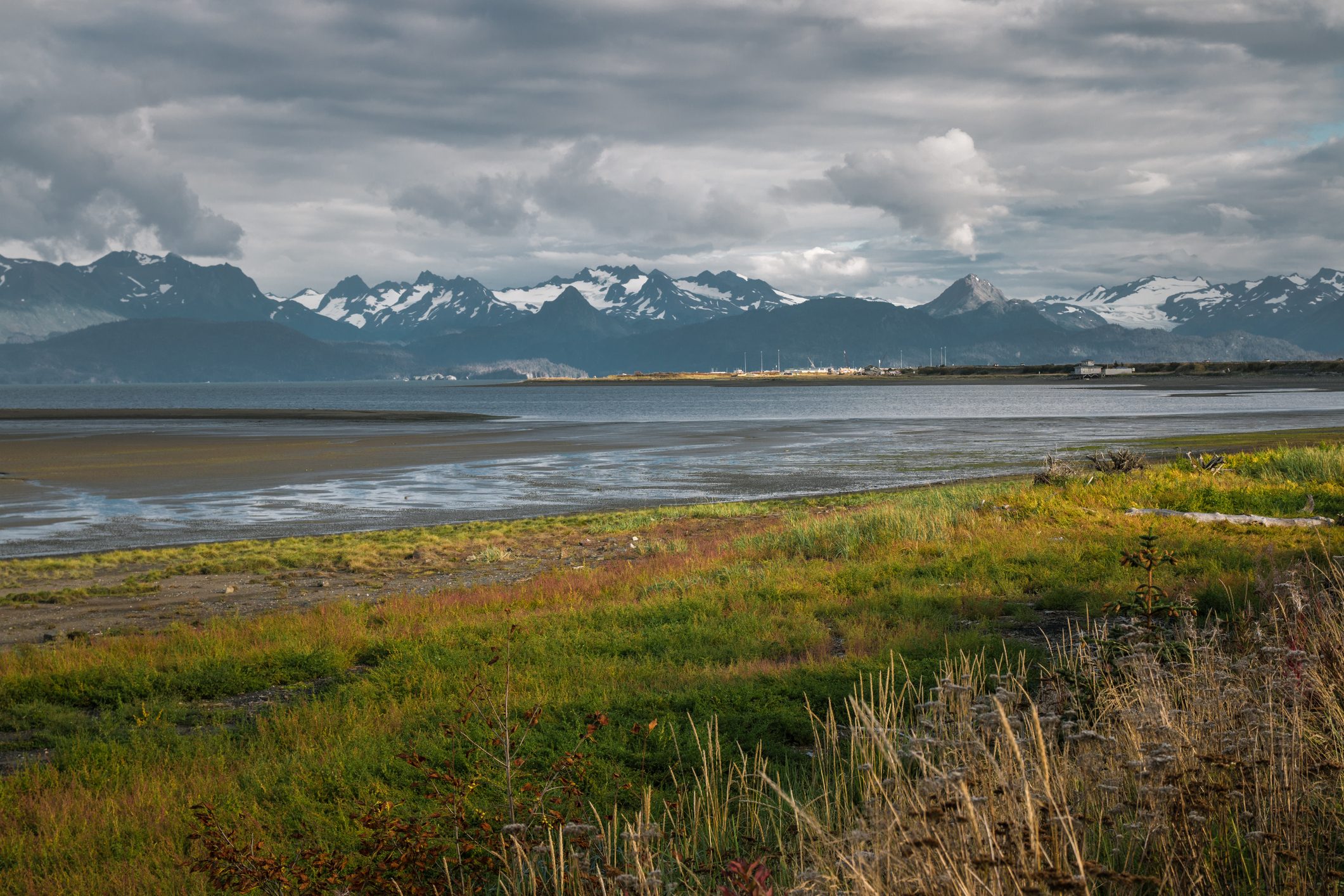 Grass covers sand along a bay, bordered by snow-capped mountains under a cloudy sky in a serene landscape.