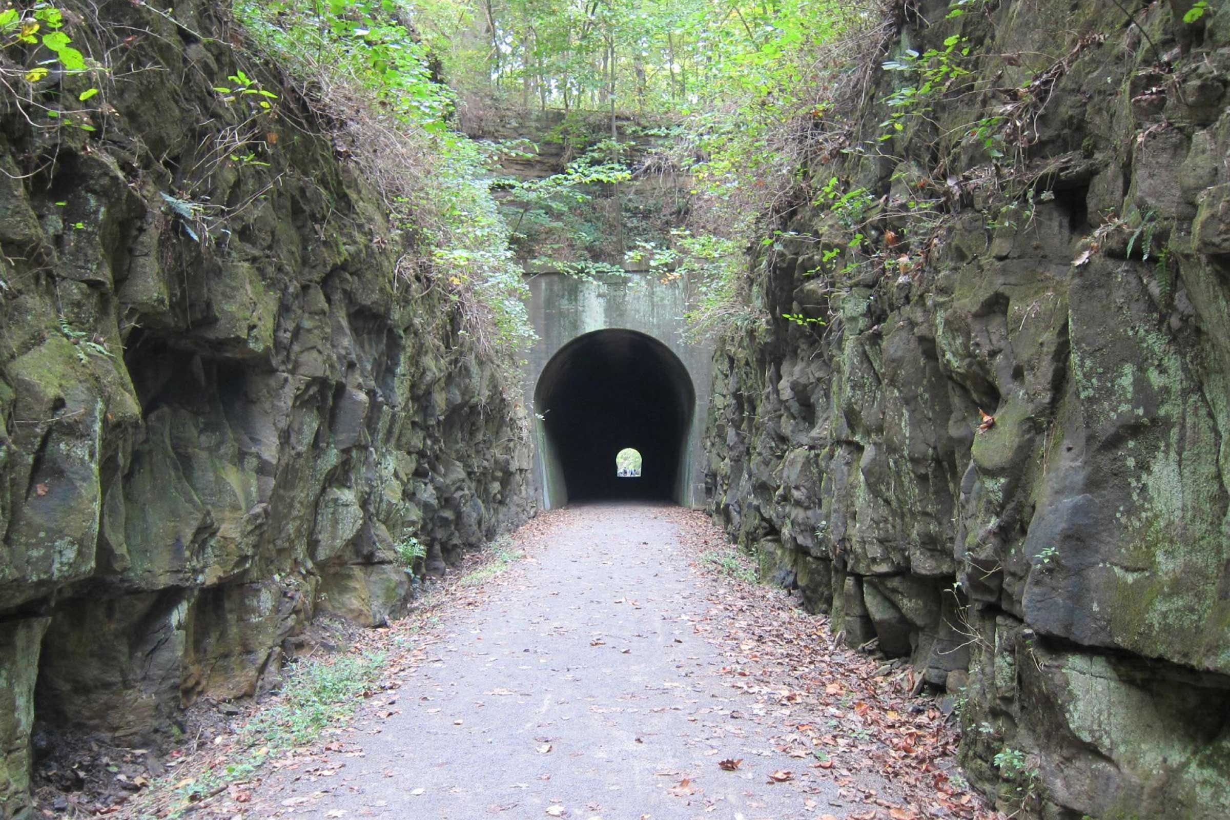 Tunnel lies at the end of a leaf-strewn path, surrounded by rocky walls and dense greenery overhead.