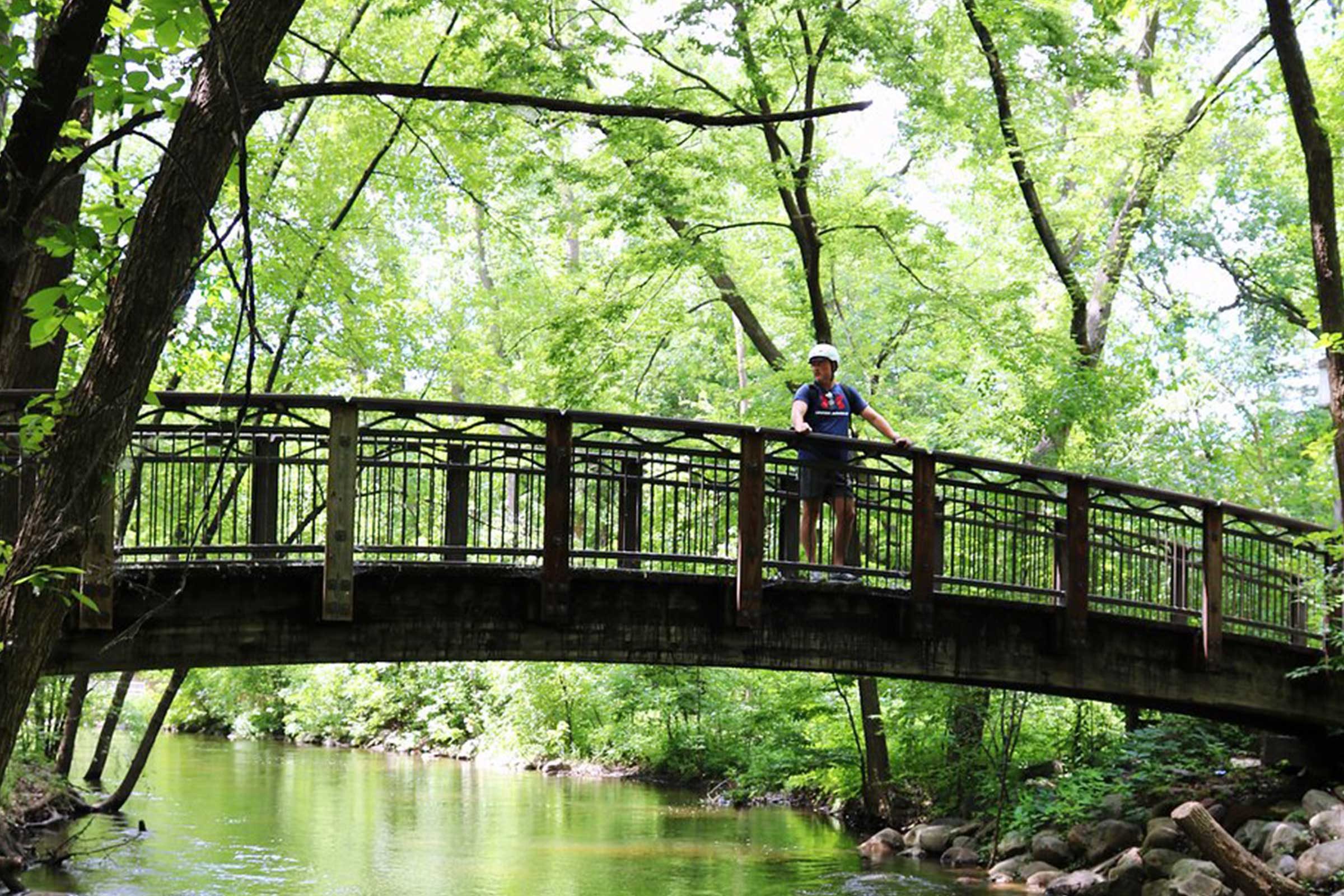 Person stands on a wooden bridge over a gentle stream, surrounded by lush green forest.