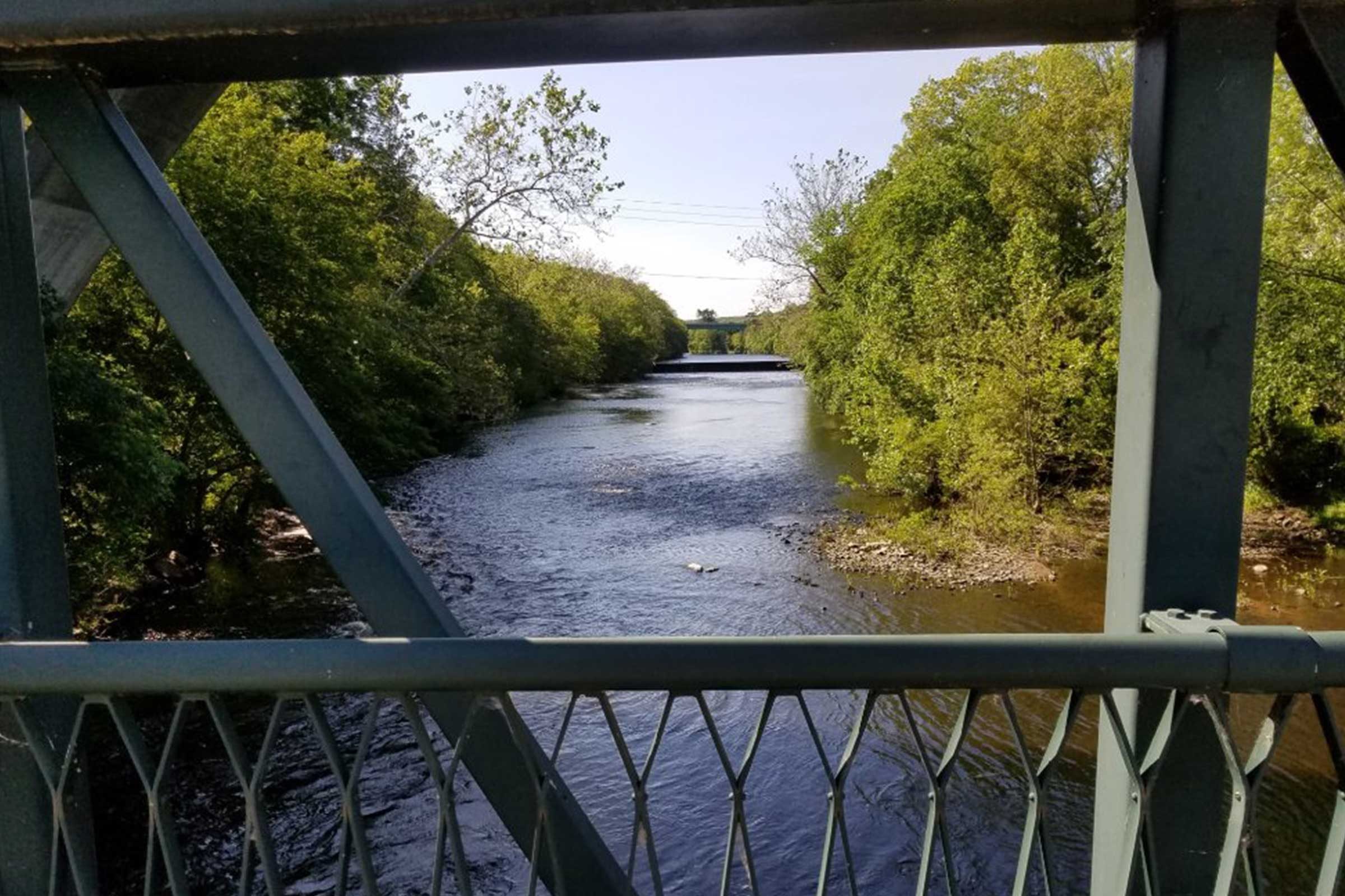 River flows beneath metal bridge, surrounded by lush green trees in a sunny outdoor setting.