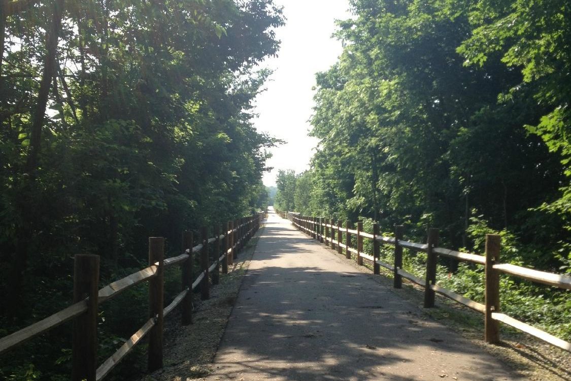 Pathway stretches straight between wooden fences, bordered by dense green trees, under bright sunlight filtering through the branches.