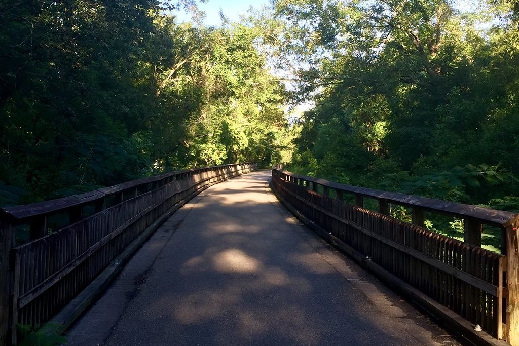 Wooden bridge spans over a shaded walking path, surrounded by lush green trees in a sunlit forest setting.