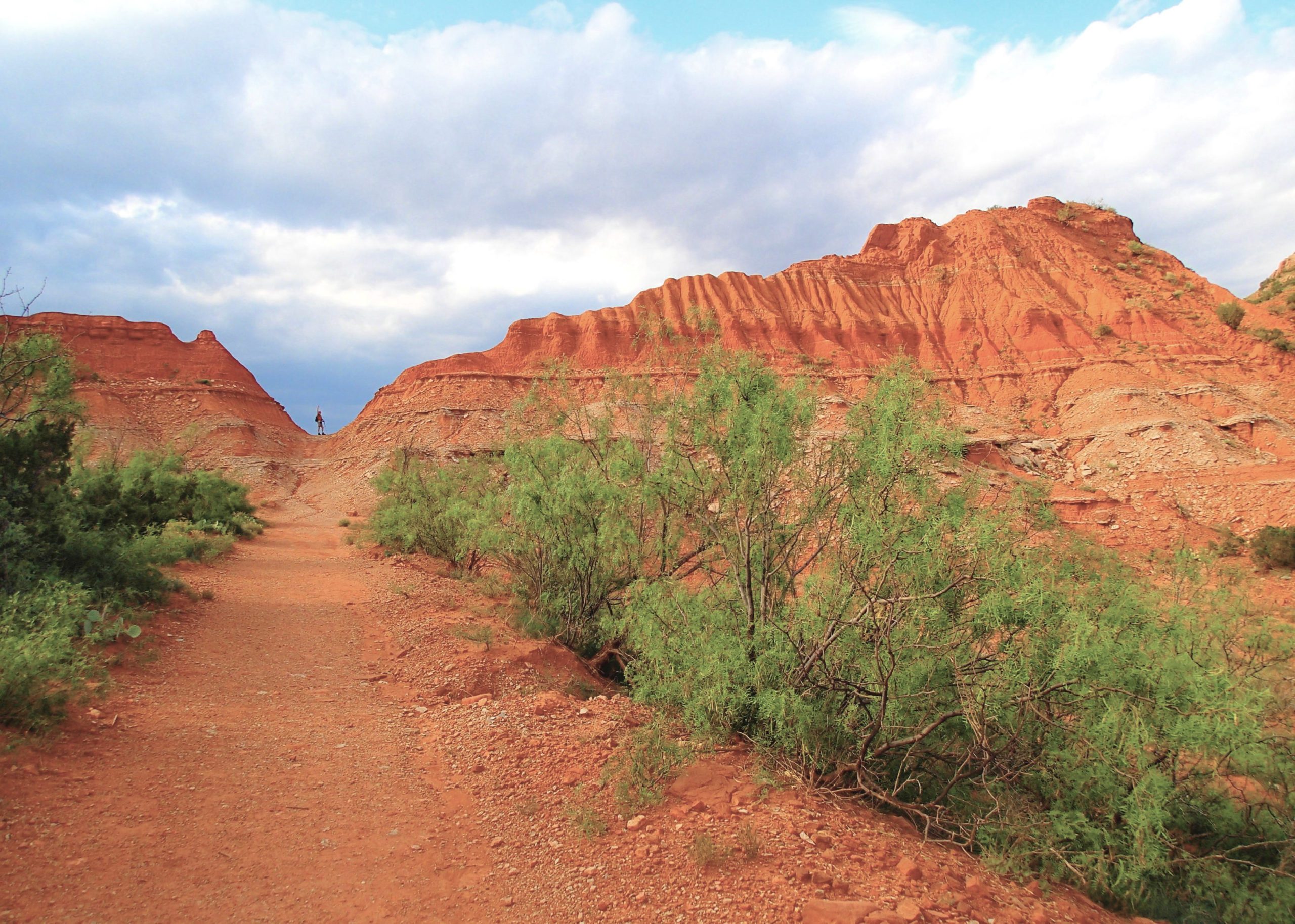 Texas: Caprock Canyons State Park
