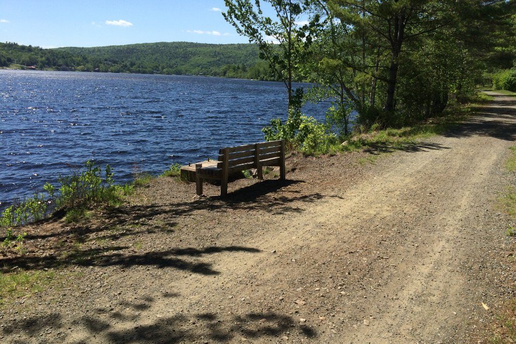 A wooden bench sits beside a gravel path, overlooking a large, calm lake surrounded by lush green trees under a clear blue sky.
