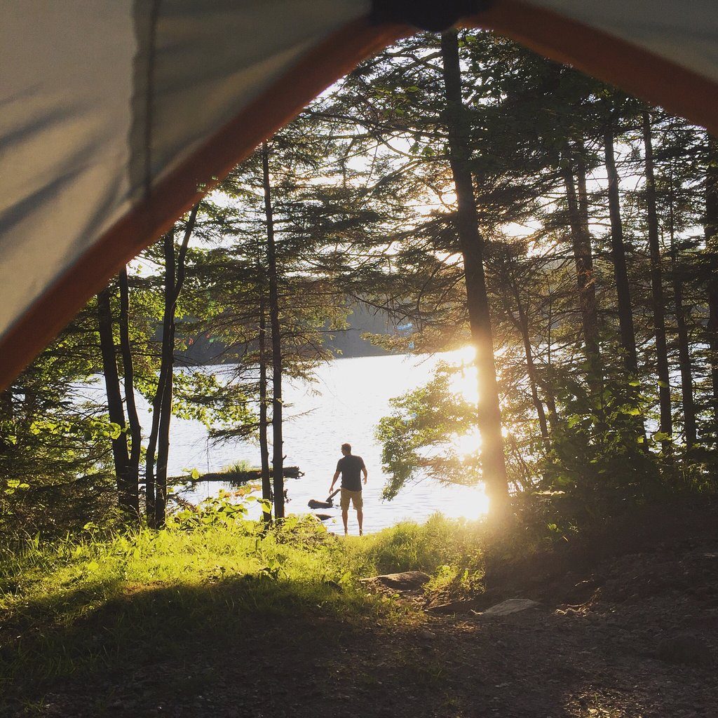 Vermont: George D. Aiken Wilderness Area