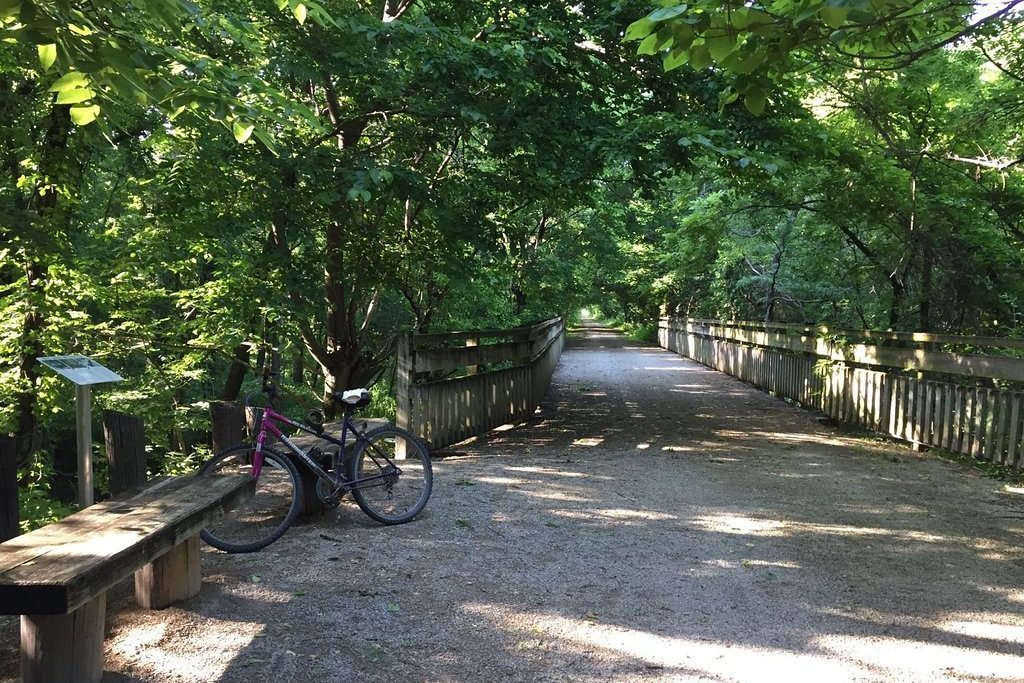 Bicycle rests against a wooden bench on a tree-lined path, dappled with sunlight, amidst a peaceful, green forest setting.