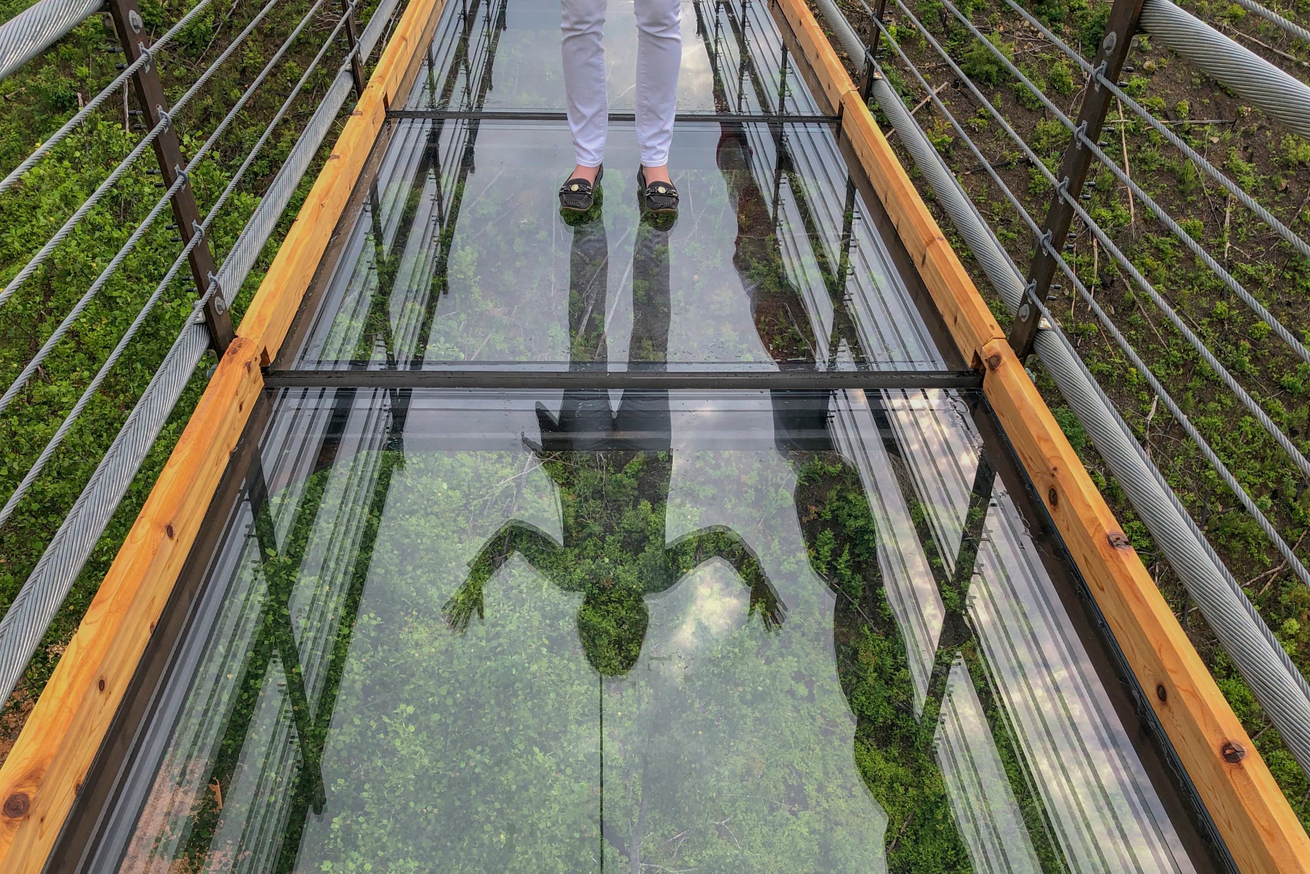 Feet stand on a transparent glass bridge, reflecting a silhouette against a lush green forest backdrop.