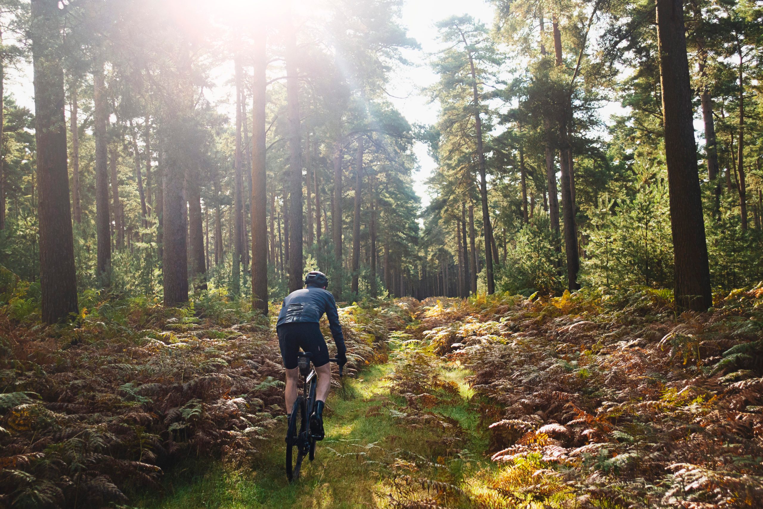 The Best Bike Trail in Every State