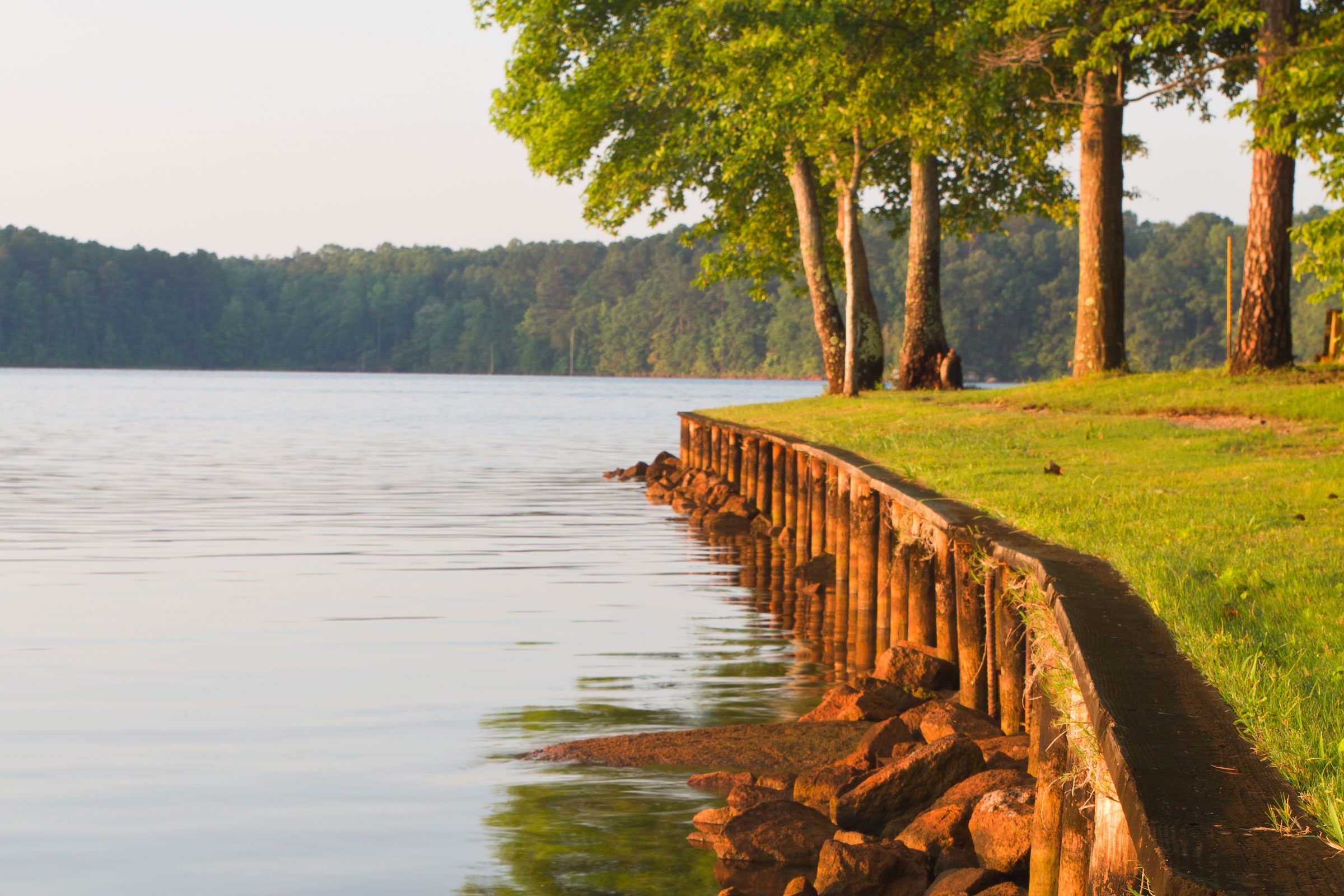Shoreline curves along tranquil lake, bordered by rocks and wooden barrier, with green grass and trees in the background under soft light.