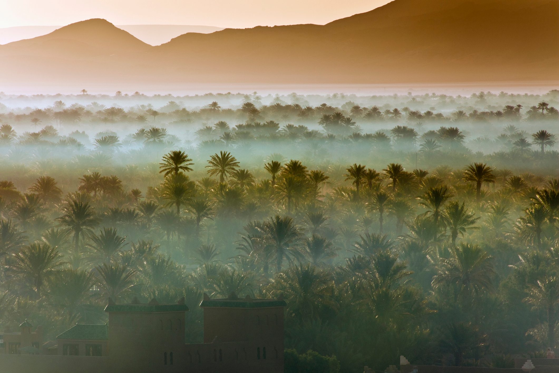Morocco, near Zagora, Sunrise over Oasis and Palm Trees
