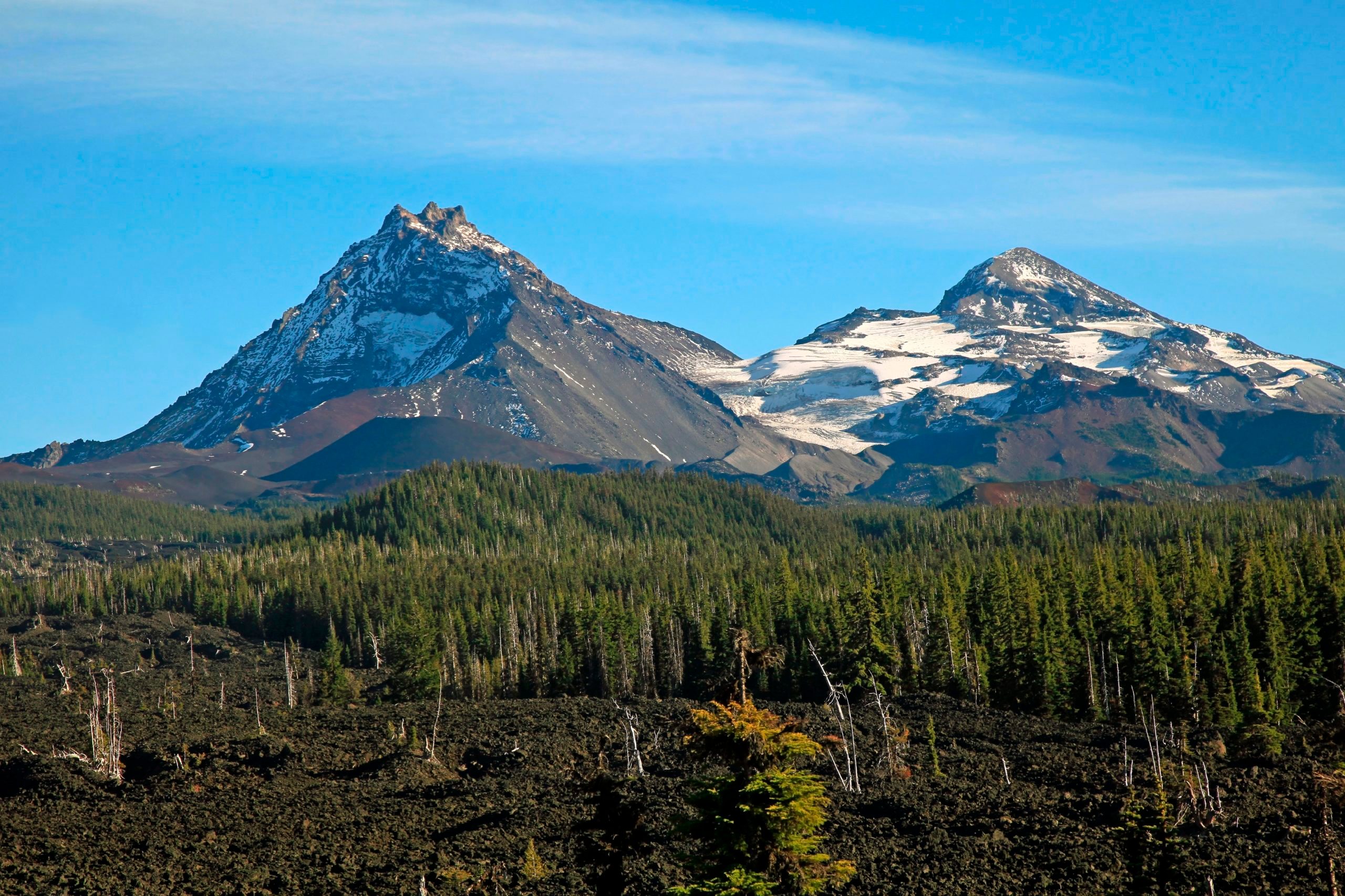 Snow-capped mountains rise above a dense evergreen forest under a clear blue sky.