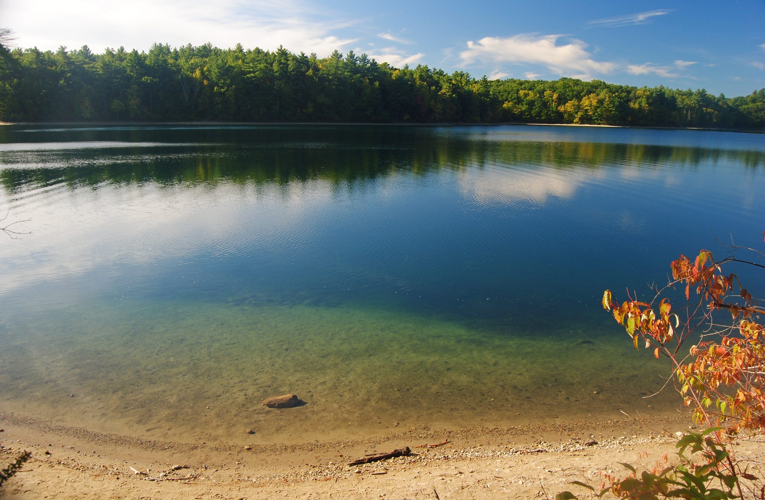 Lake reflects trees and clouds, bordered by a sandy shore with autumn leaves in a tranquil forest setting.