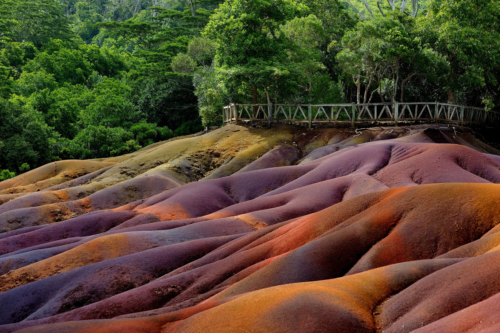 Colorful sand dunes create a wave-like pattern, surrounded by lush green forest, with a wooden fence along the edge.