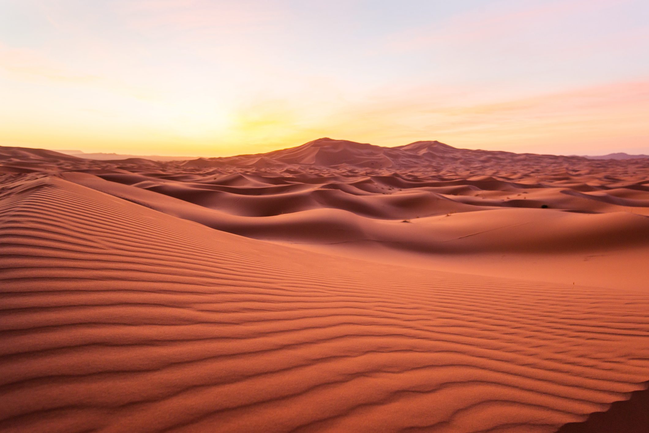 Sahara desert at sunrise