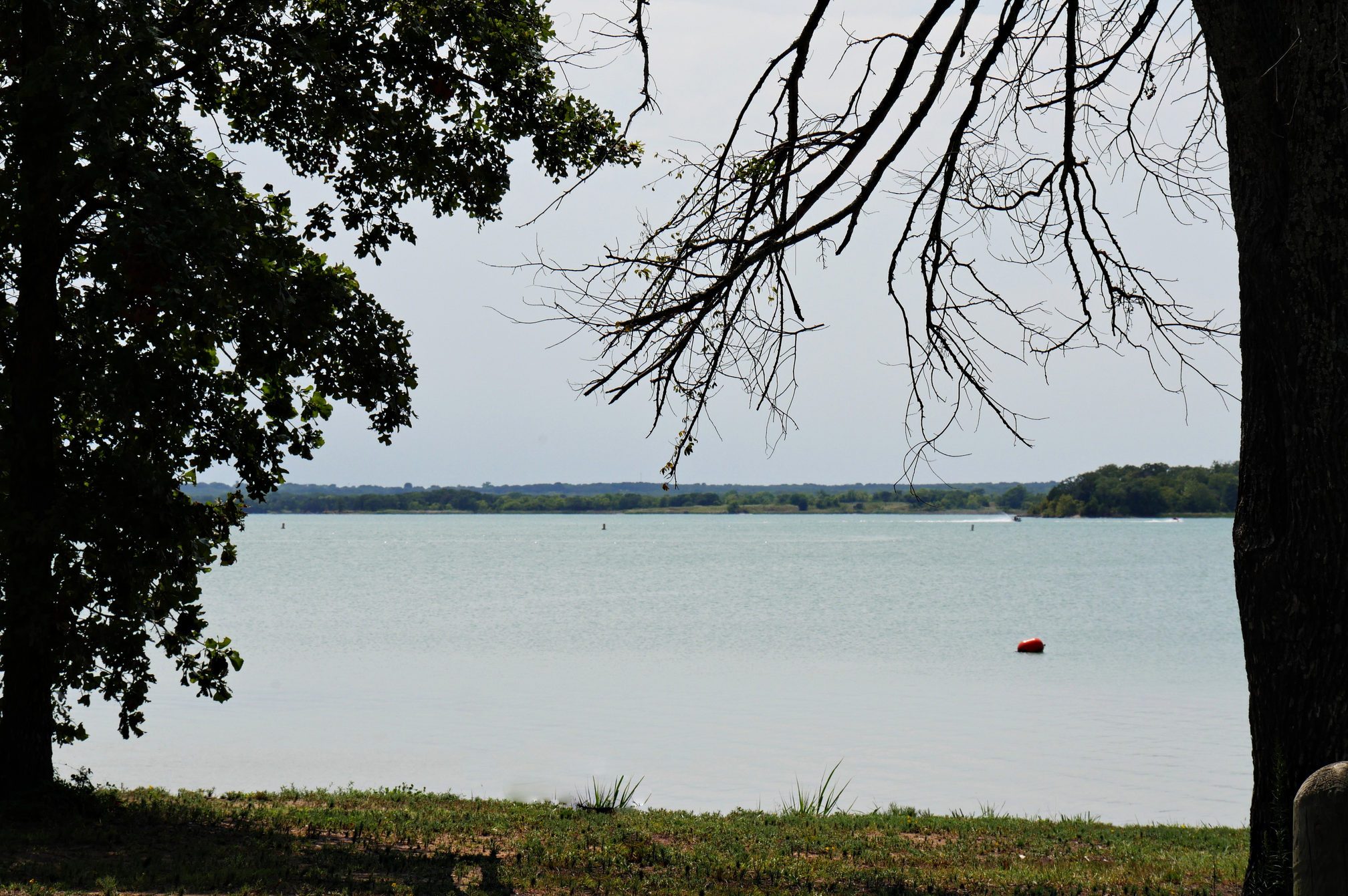 Tree branches frame a calm lake with a red buoy, surrounded by distant forests under a clear sky.