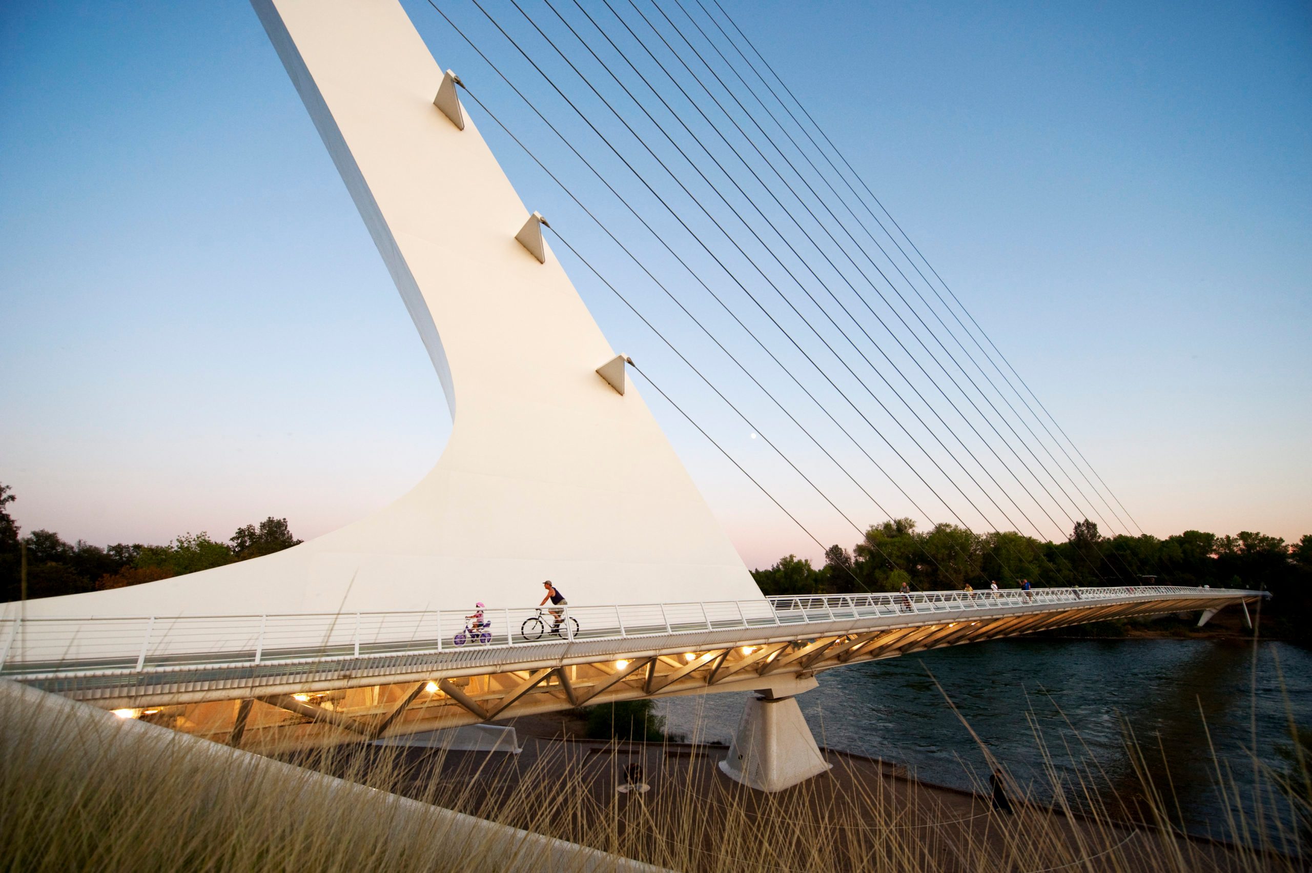 Bridge with cables spans over a river; cyclists ride across under a clear sky with trees nearby.
