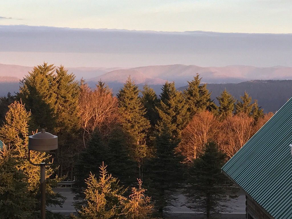 Evergreen trees bathed in golden sunlight stand in front of distant rolling hills, under a sky with soft clouds. A building corner enters the frame.