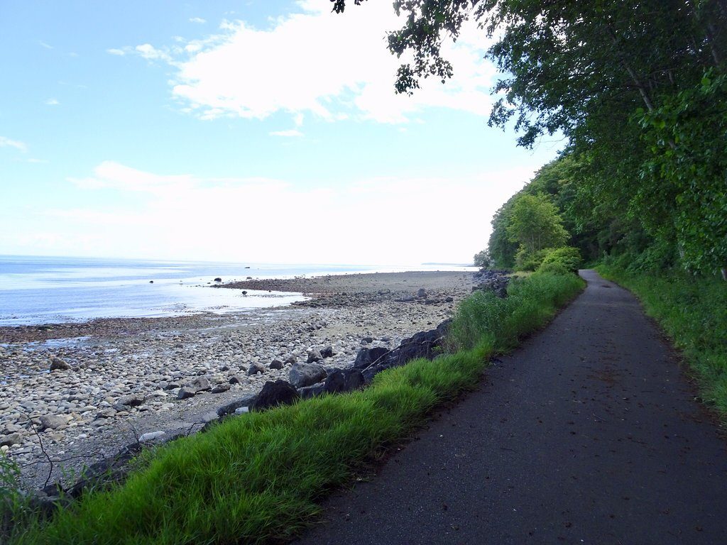 Path runs along rocky shoreline, bordered by lush greenery, under a clear blue sky.