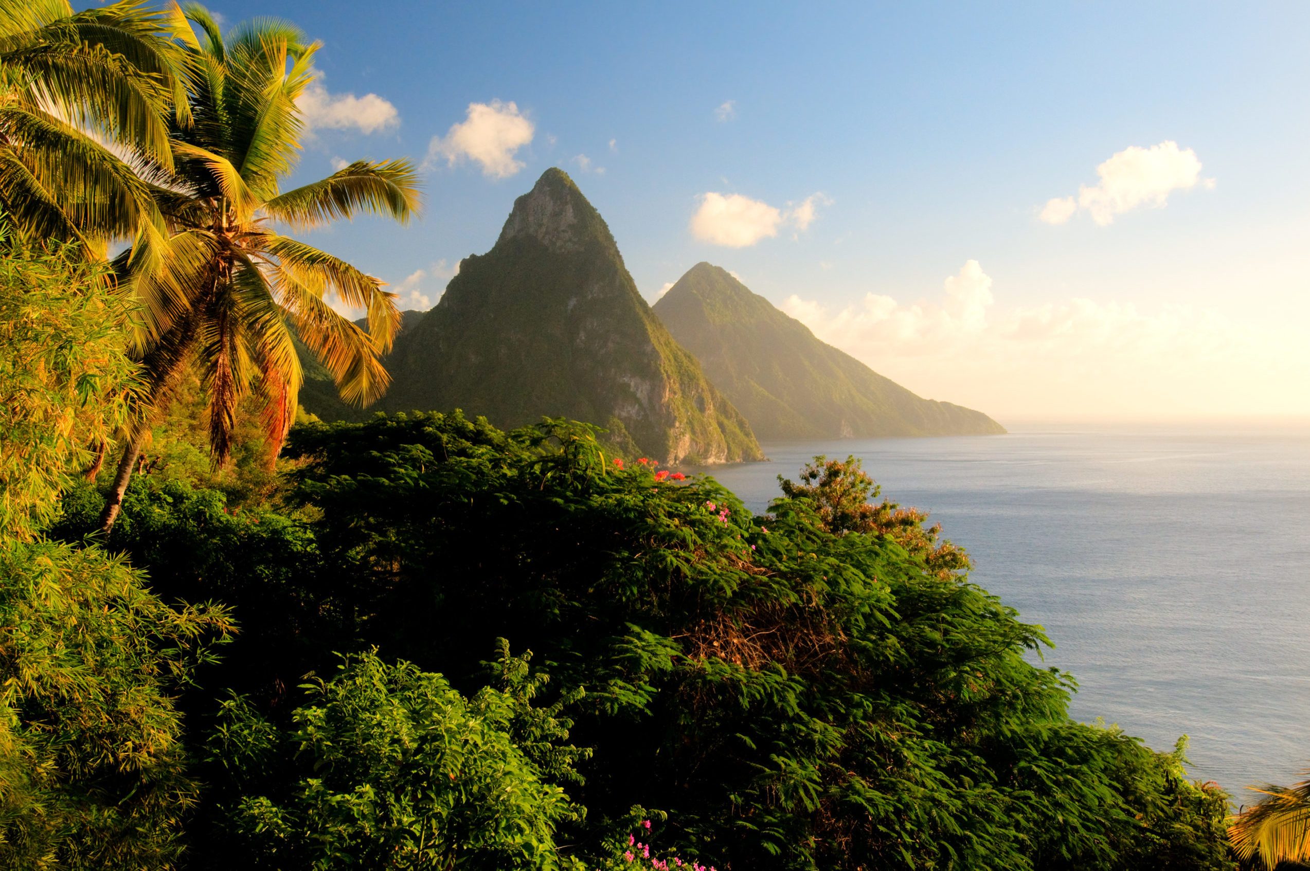 Mountains rise dramatically, framed by lush tropical foliage, overlooking a calm, sunlit ocean under a clear blue sky with scattered clouds.