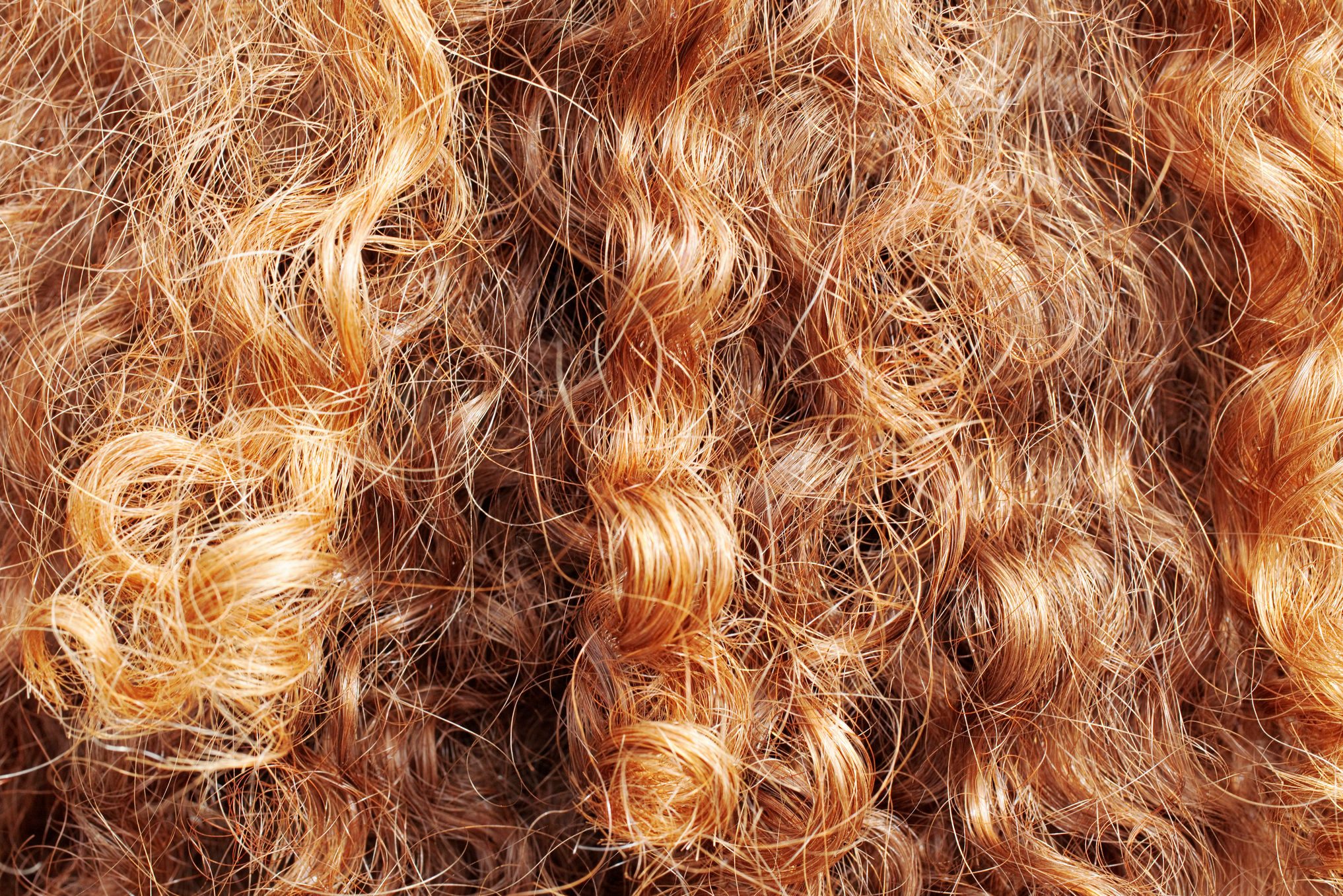 Curly hair tightly intertwined, displaying shades of golden brown, appearing densely packed and textured close-up.