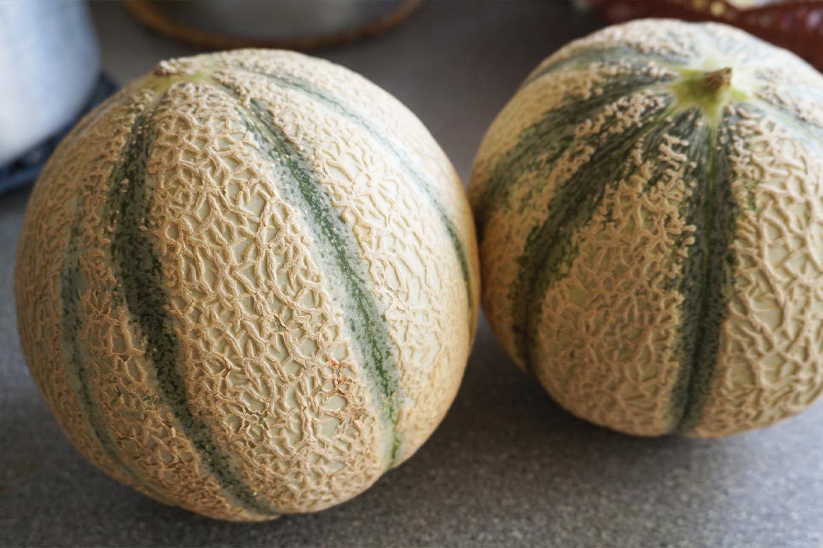 Two cantaloupes rest on a gray countertop, displaying textured rinds with green stripes in a kitchen setting.