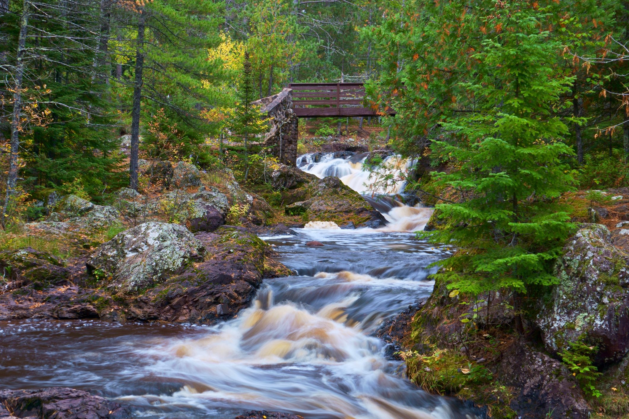 Amnicon State Park, Amnicon Falls Park Study #2