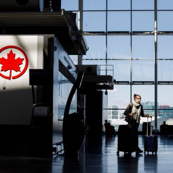 Traveler walks with luggage past Air Canada logo in a sunlit airport terminal, large windows showing buildings outside.