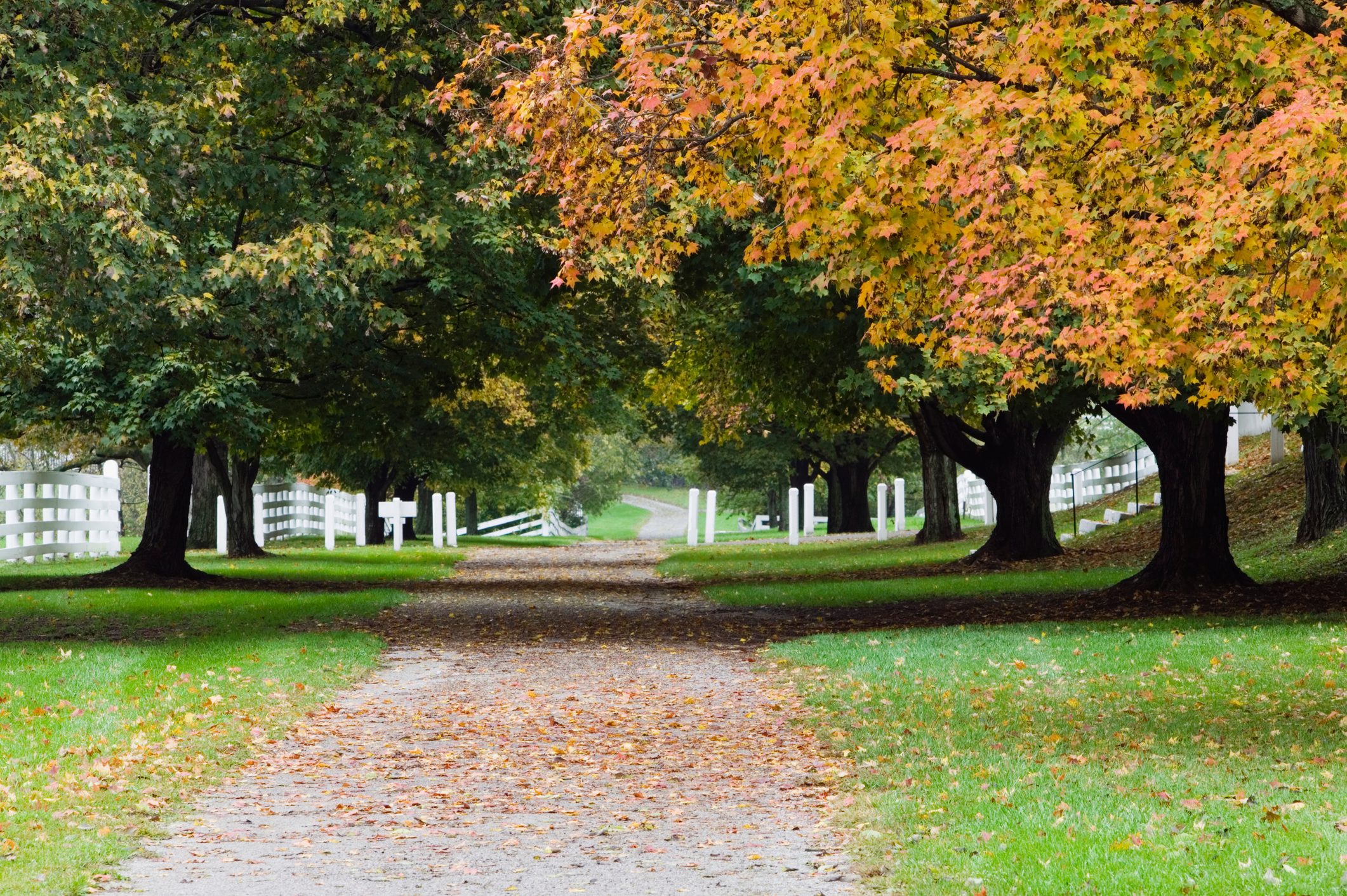 Main street, Shaker Village of Pleasant Hill