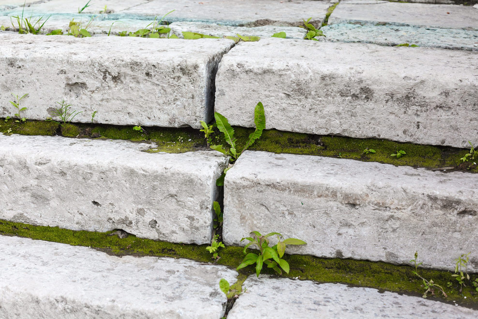 Stone steps with green weeds and moss growing between them, outdoors in a natural setting.