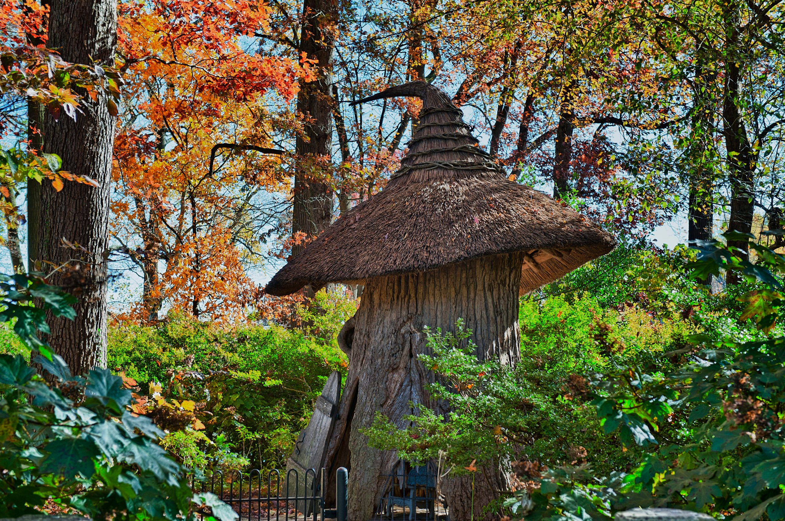 Tulip Tree House in the Enchanted Woods of Winterthur Gardens,