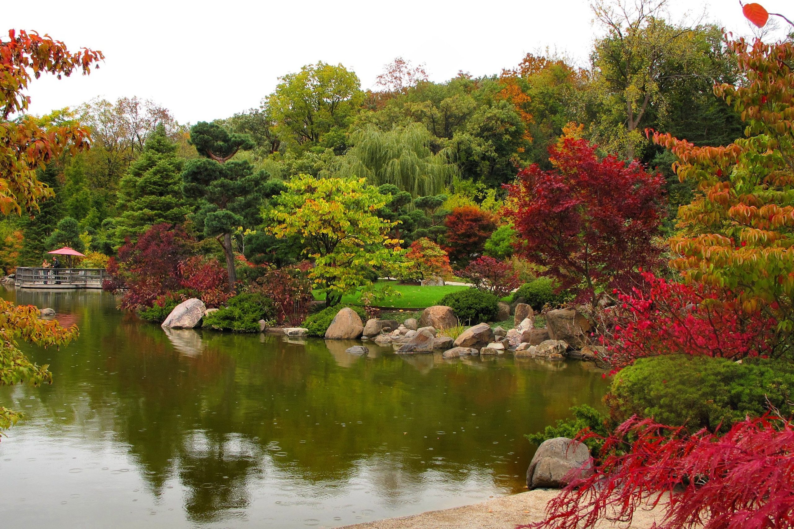 Anderson Japanese Gardens