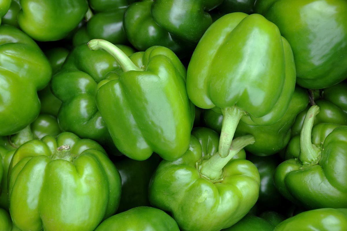 Green bell peppers clustered together, creating a vibrant, fresh display.