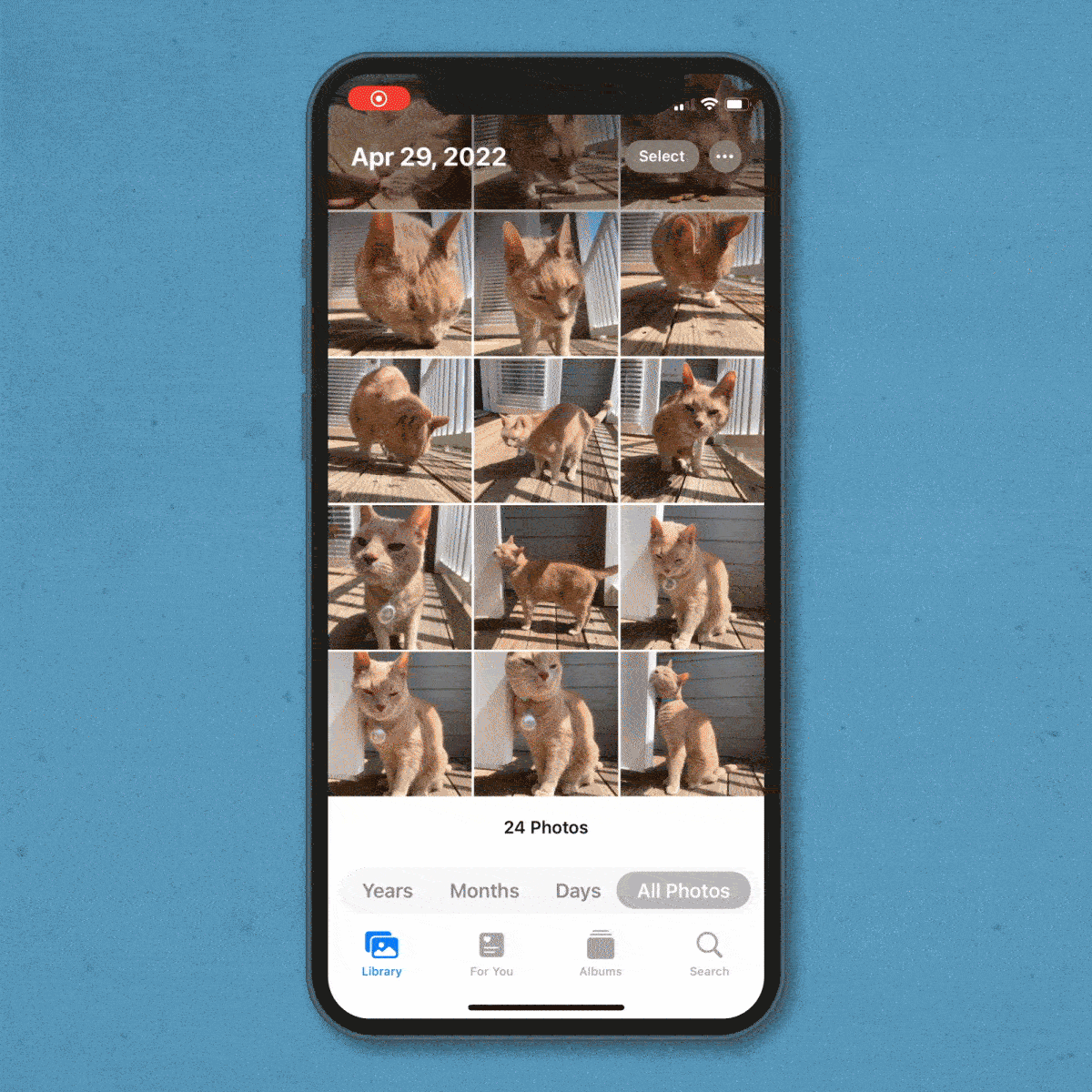 How To Delete All Photos