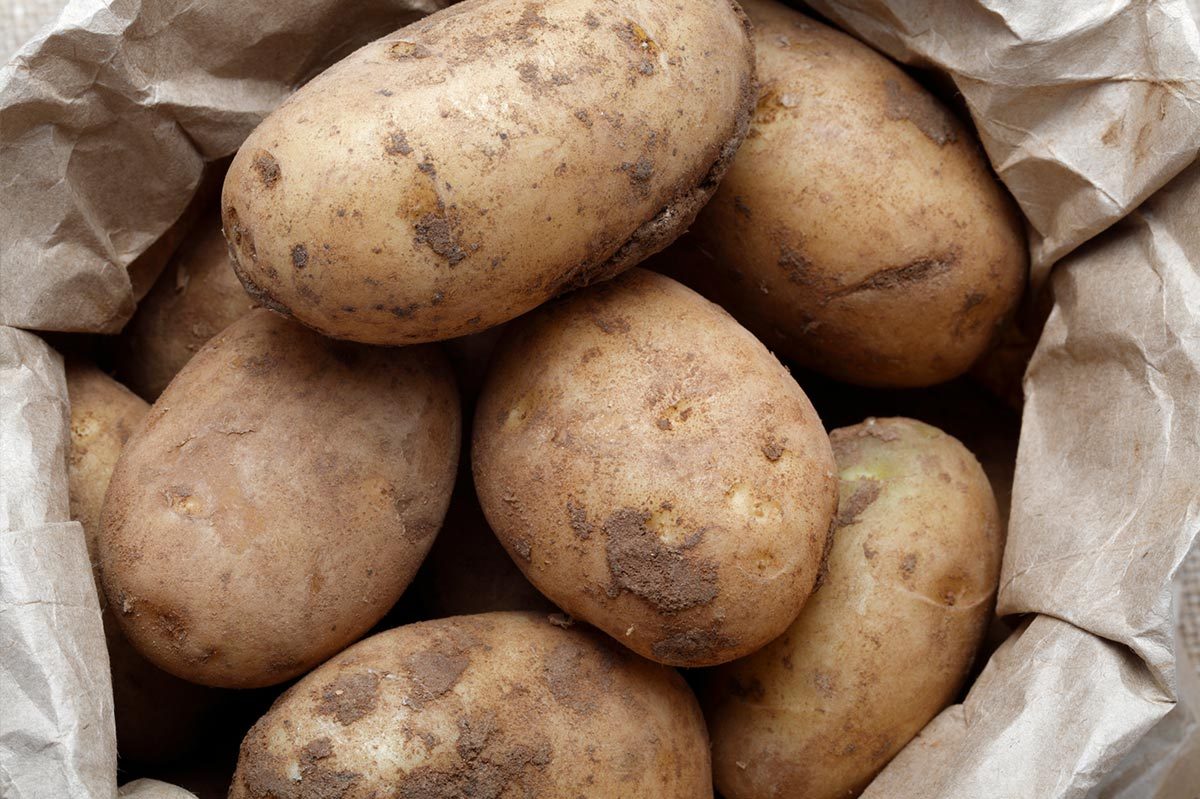 Potatoes resting, slightly dirty, inside a crumpled paper bag, suggesting a freshly harvested appearance.