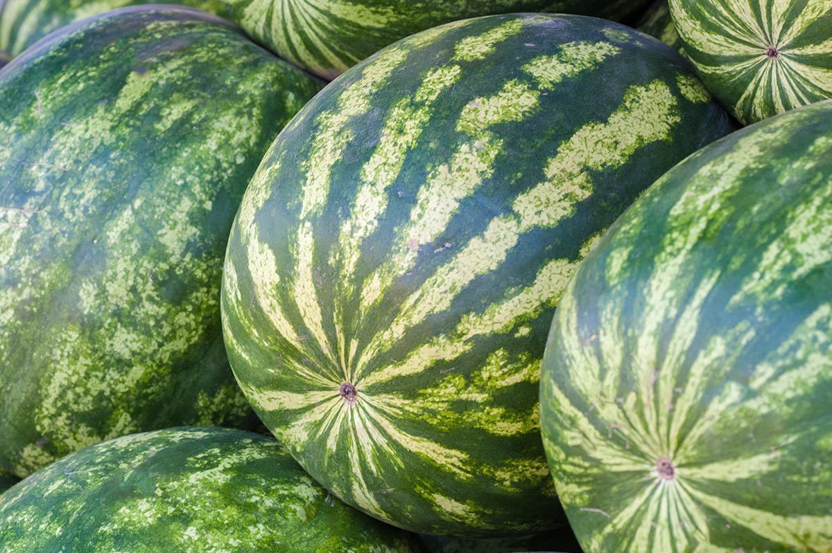 Watermelons resting in a pile, displaying dark green and light green striped patterns on smooth, rounded surfaces.